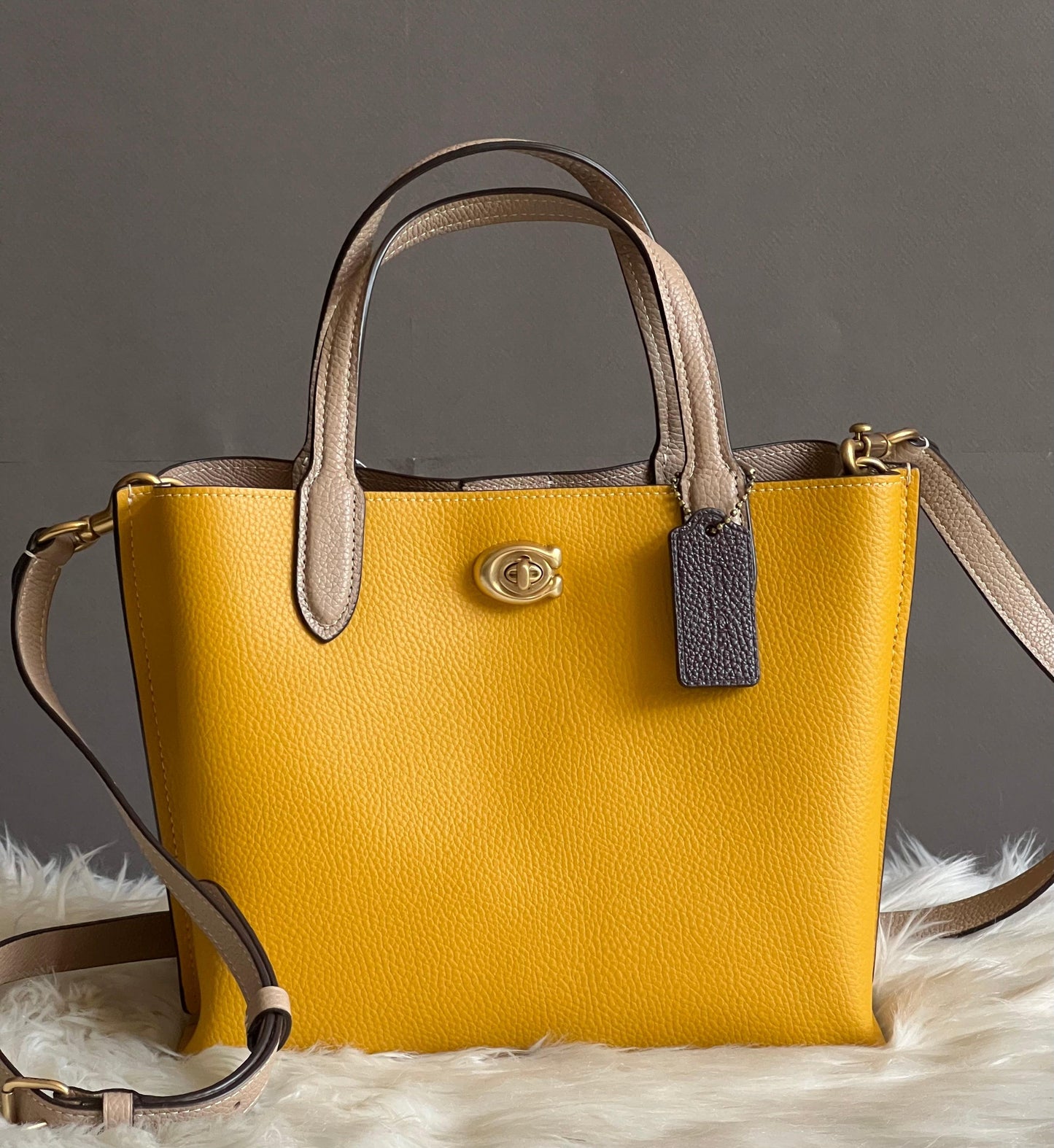 Coach Willow Tote 24 in Colorblock