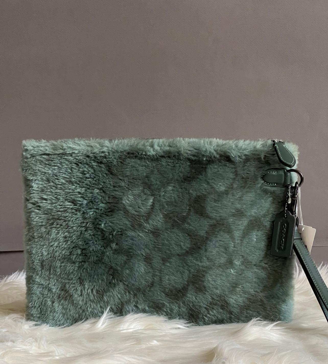 Coach Charter Pouch in Signature Shearling