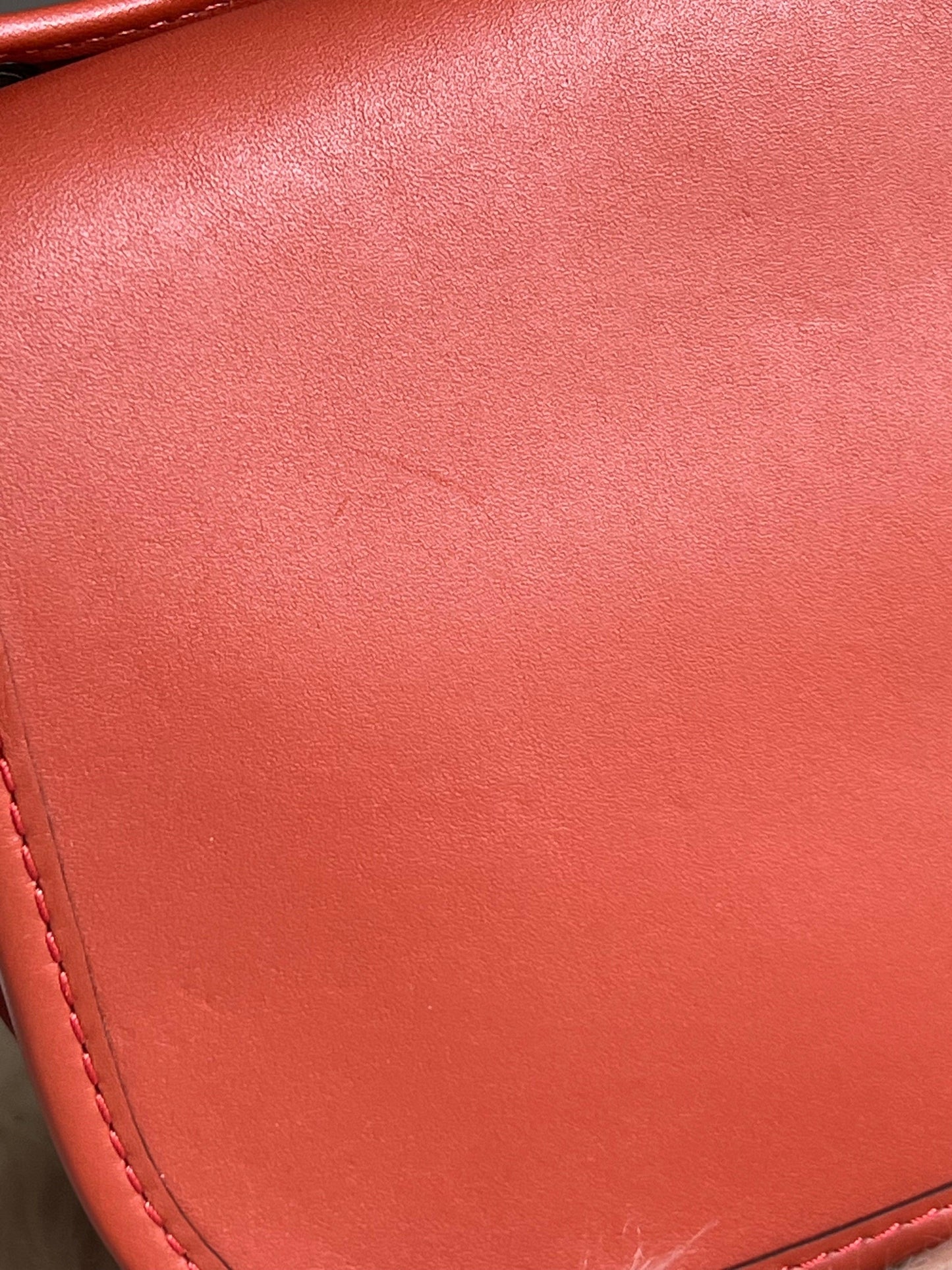 Coach Saddle 18