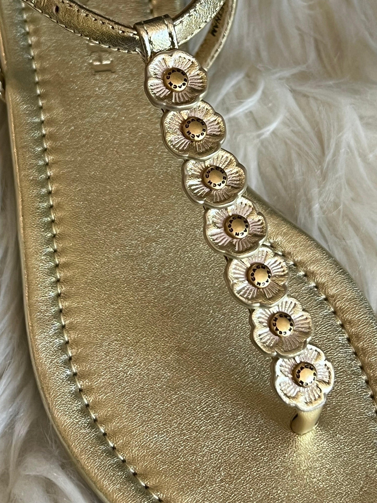 Coach Jacqueline Sandal