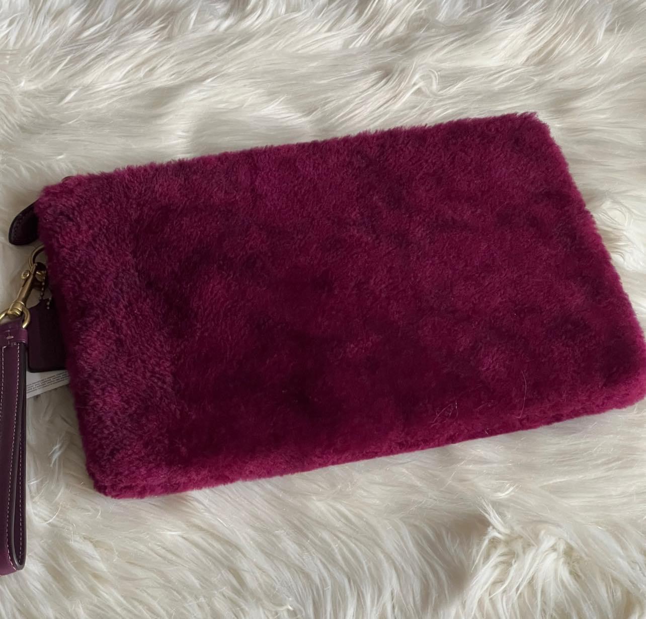 Coach Charter Pouch in Signature Shearling