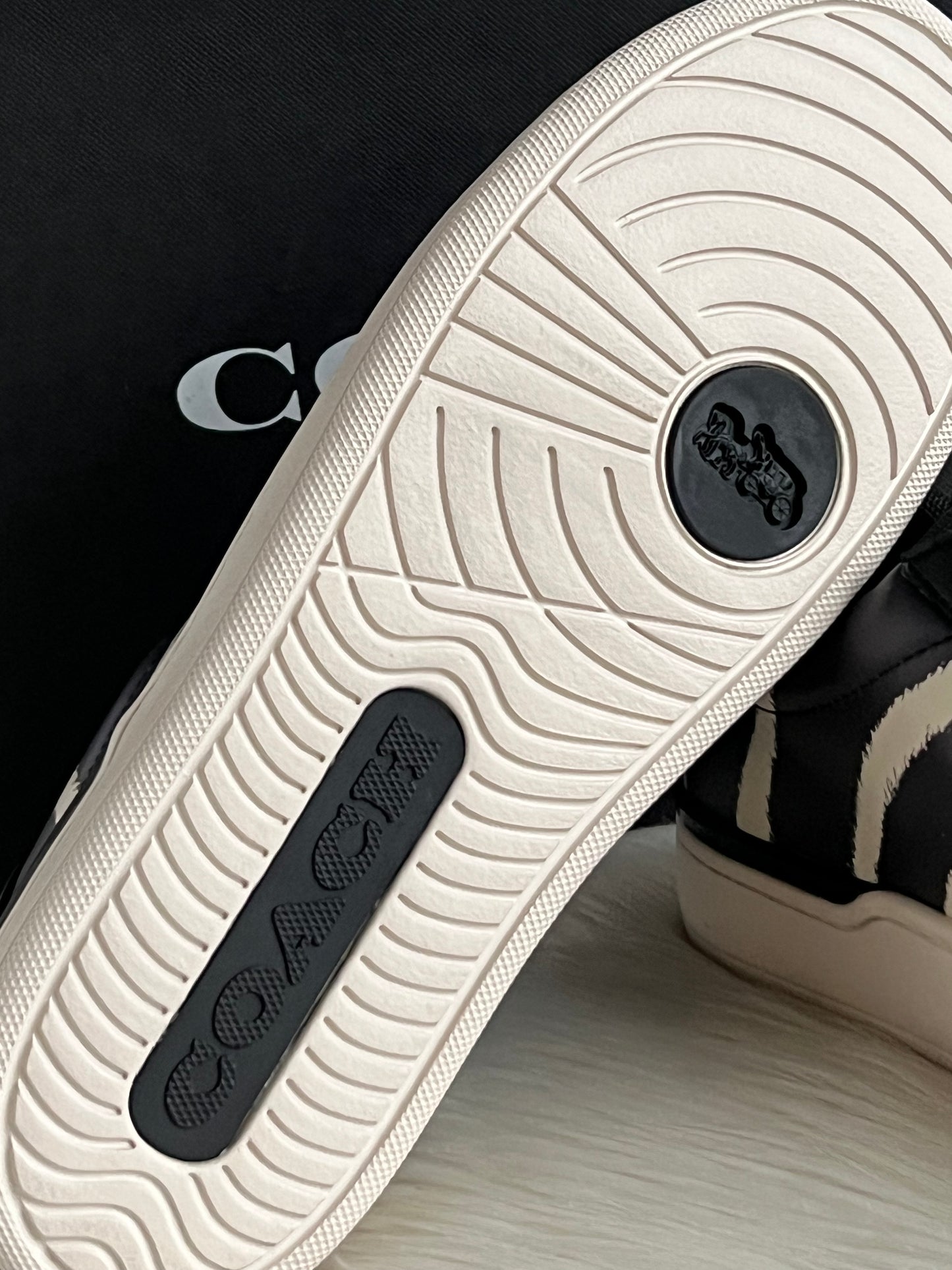 Coach Lowline Low Top Sneaker with Print