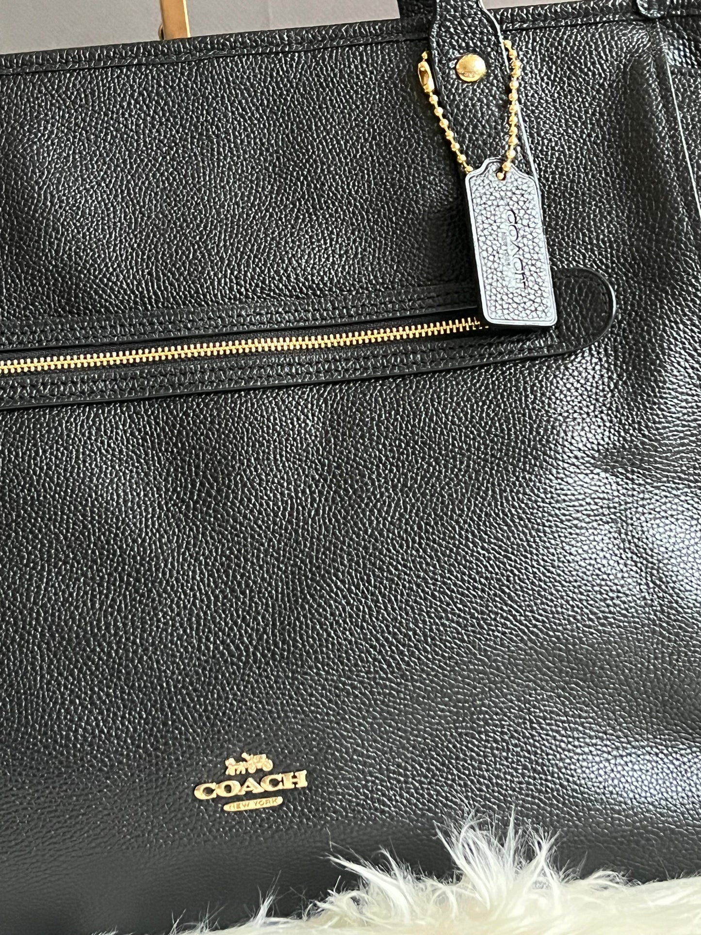 Coach Baby Bag