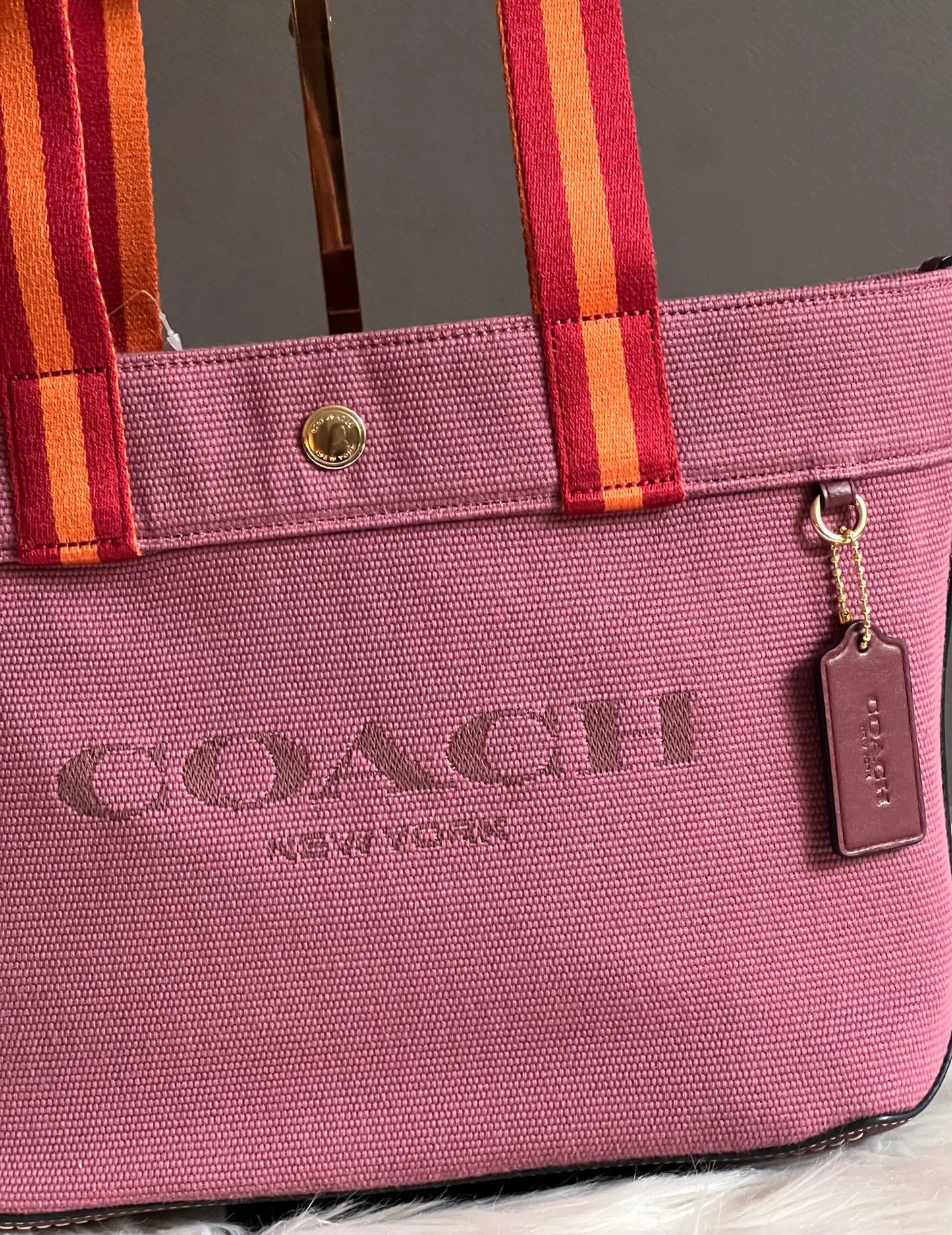 Coach Small Canvas Tote