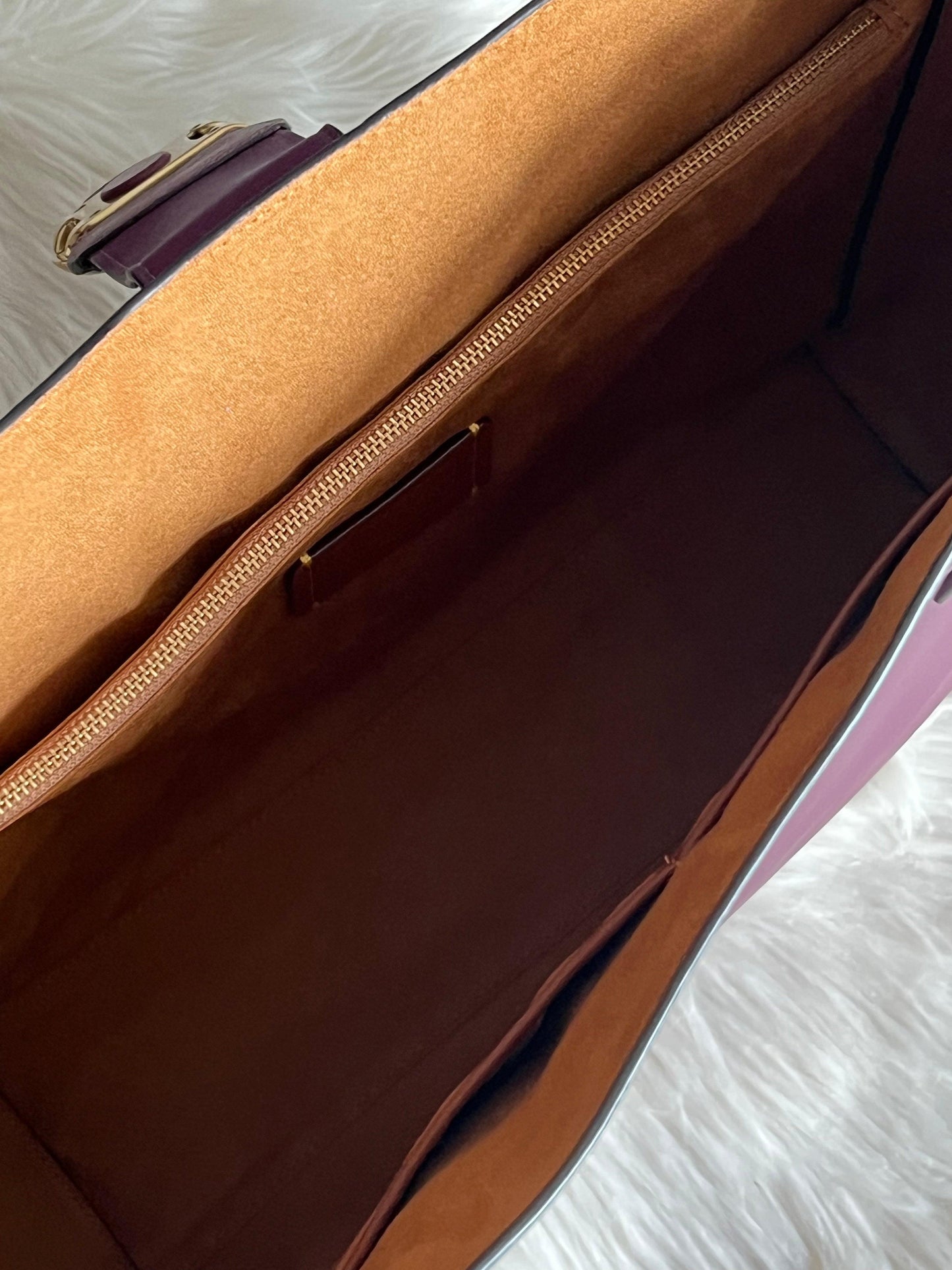 Coach Theo Tote