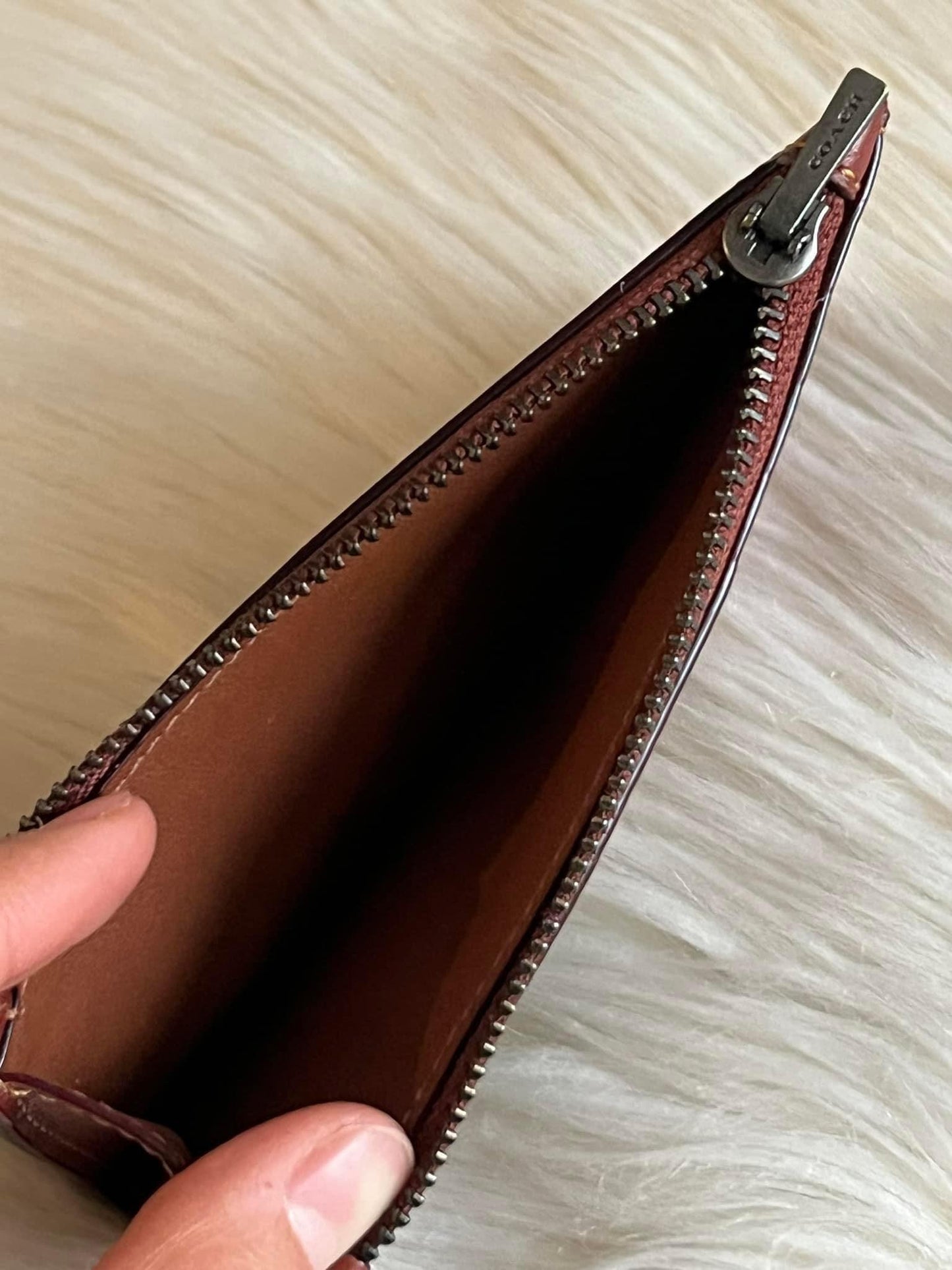 Coach L Zip Card Case in Signature Canvas with Rexy Print