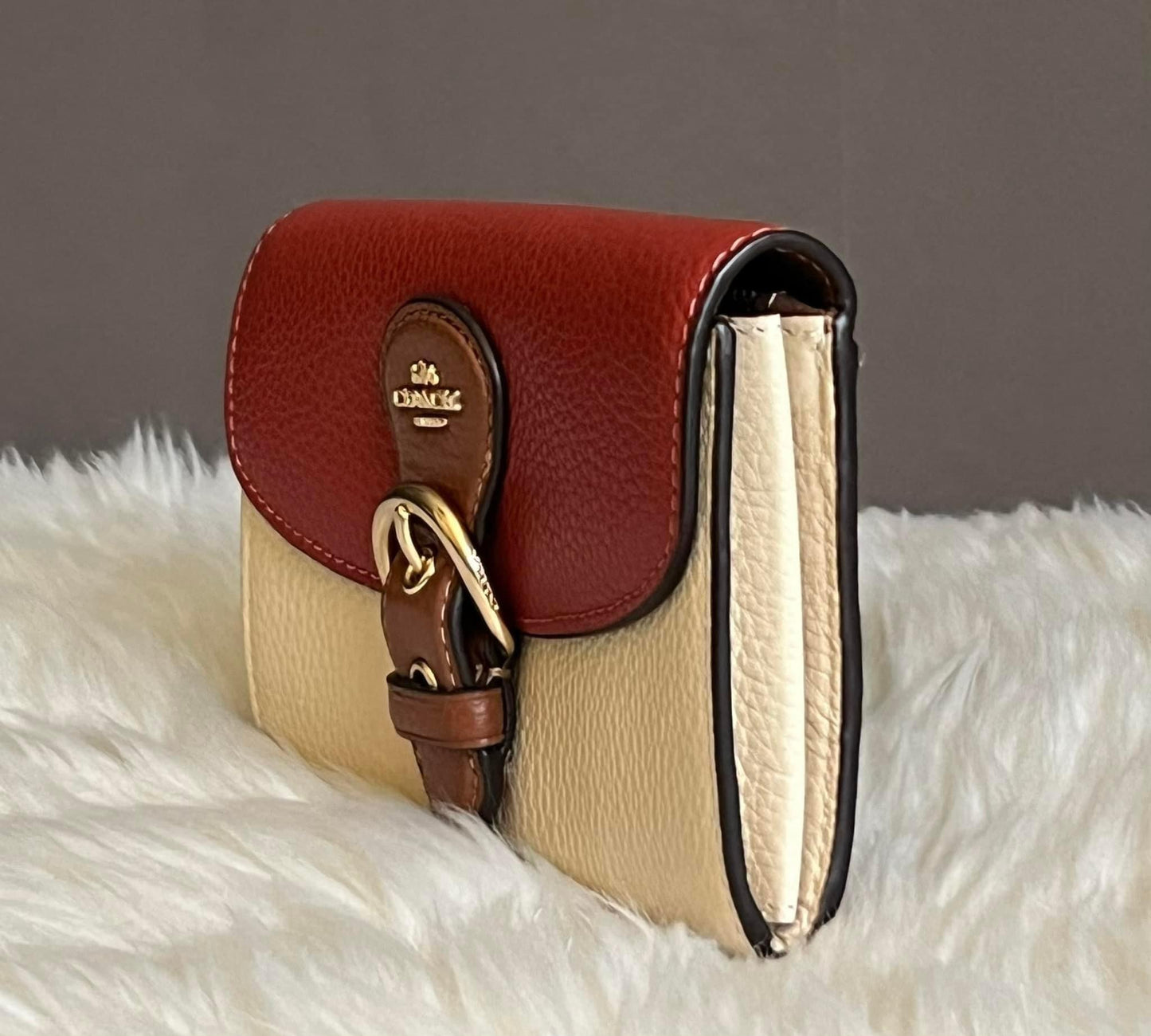 Coach Kleo Wallet in Colorblock