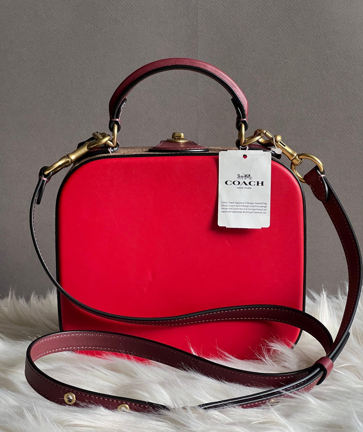 Coach Lunar New Year Square Bag in Signature Canvas