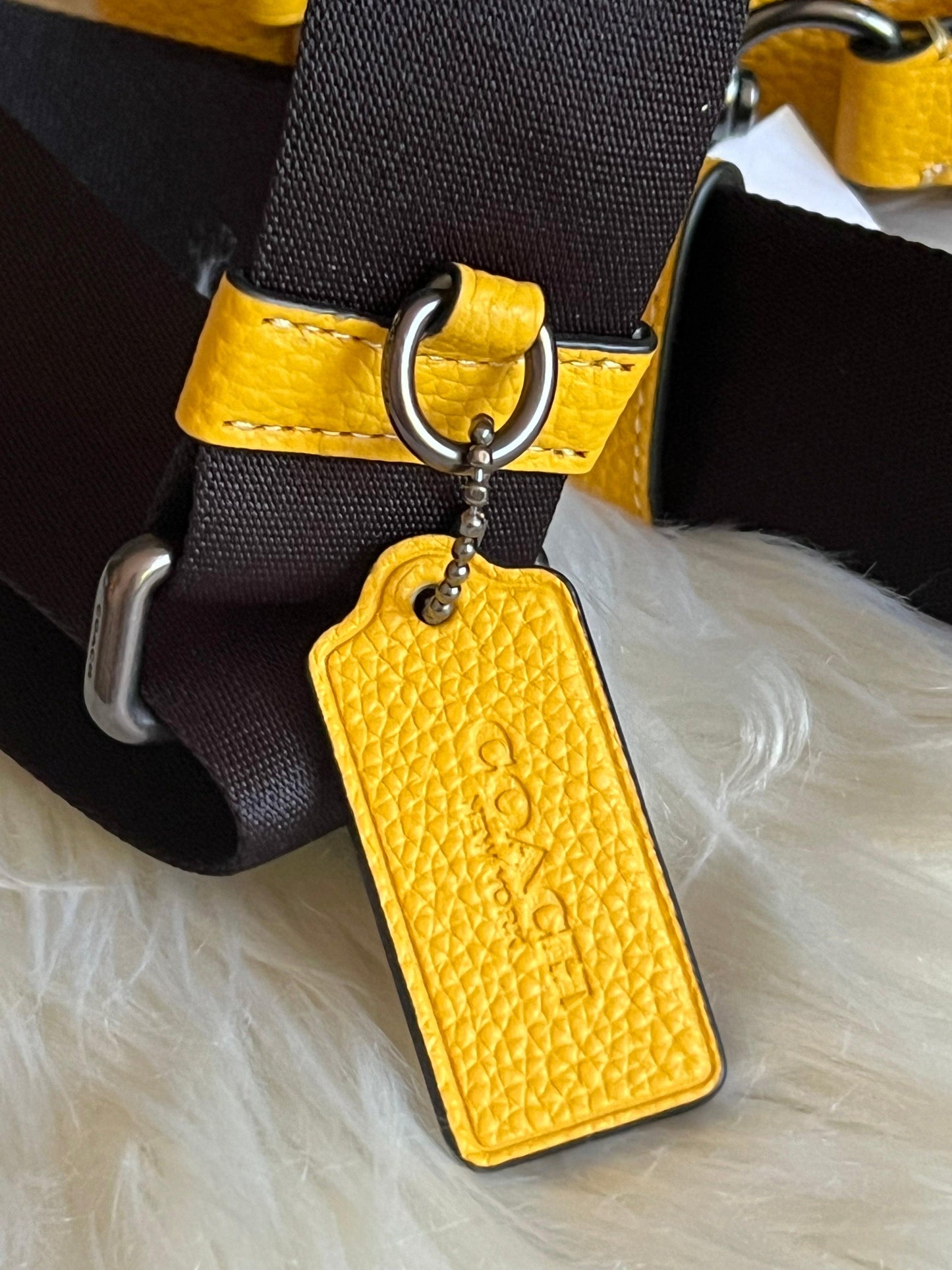 Coach Hudson Small Pack