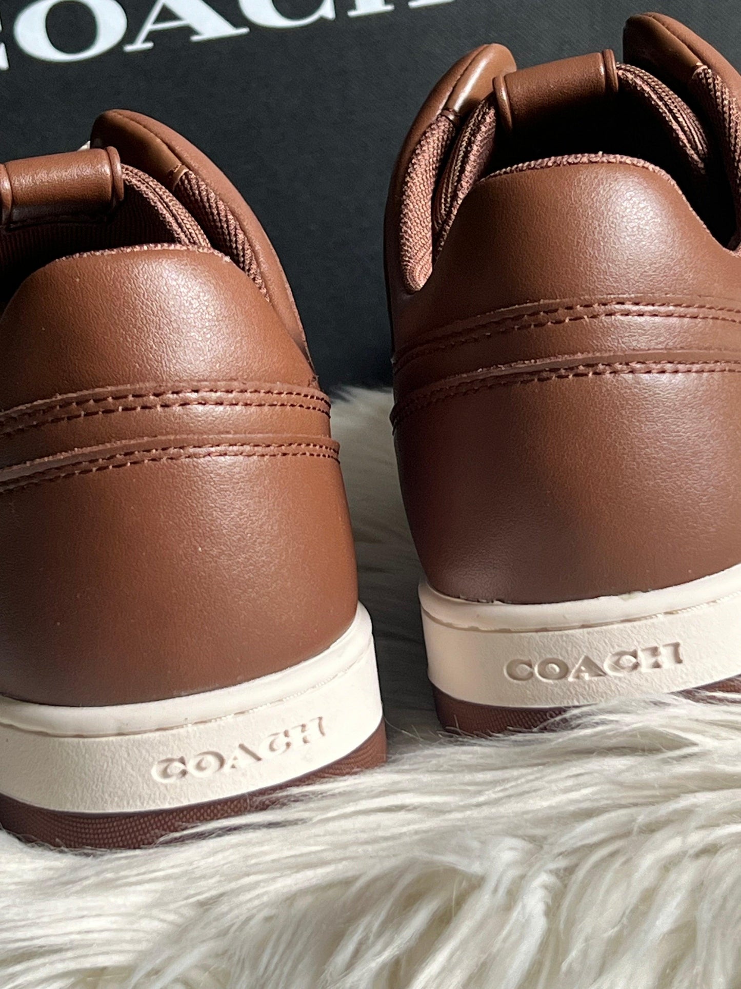 Coach Sneaker in Signature Canvas