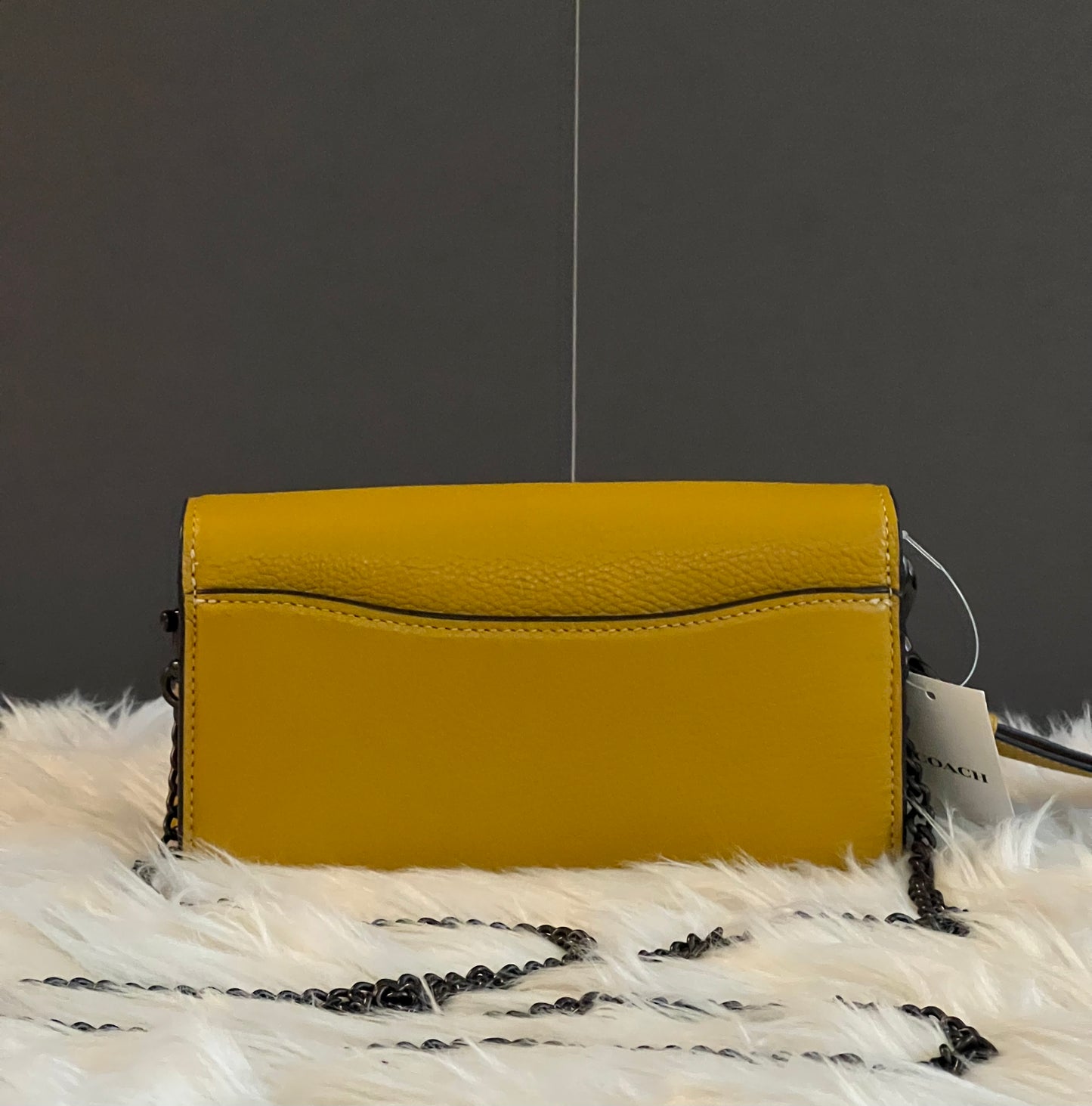 Coach Tabby Crossbody Wristlet
