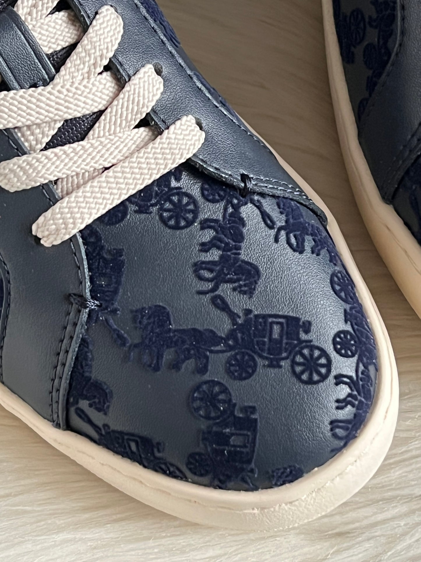 Coach Lowline Low Top Sneaker