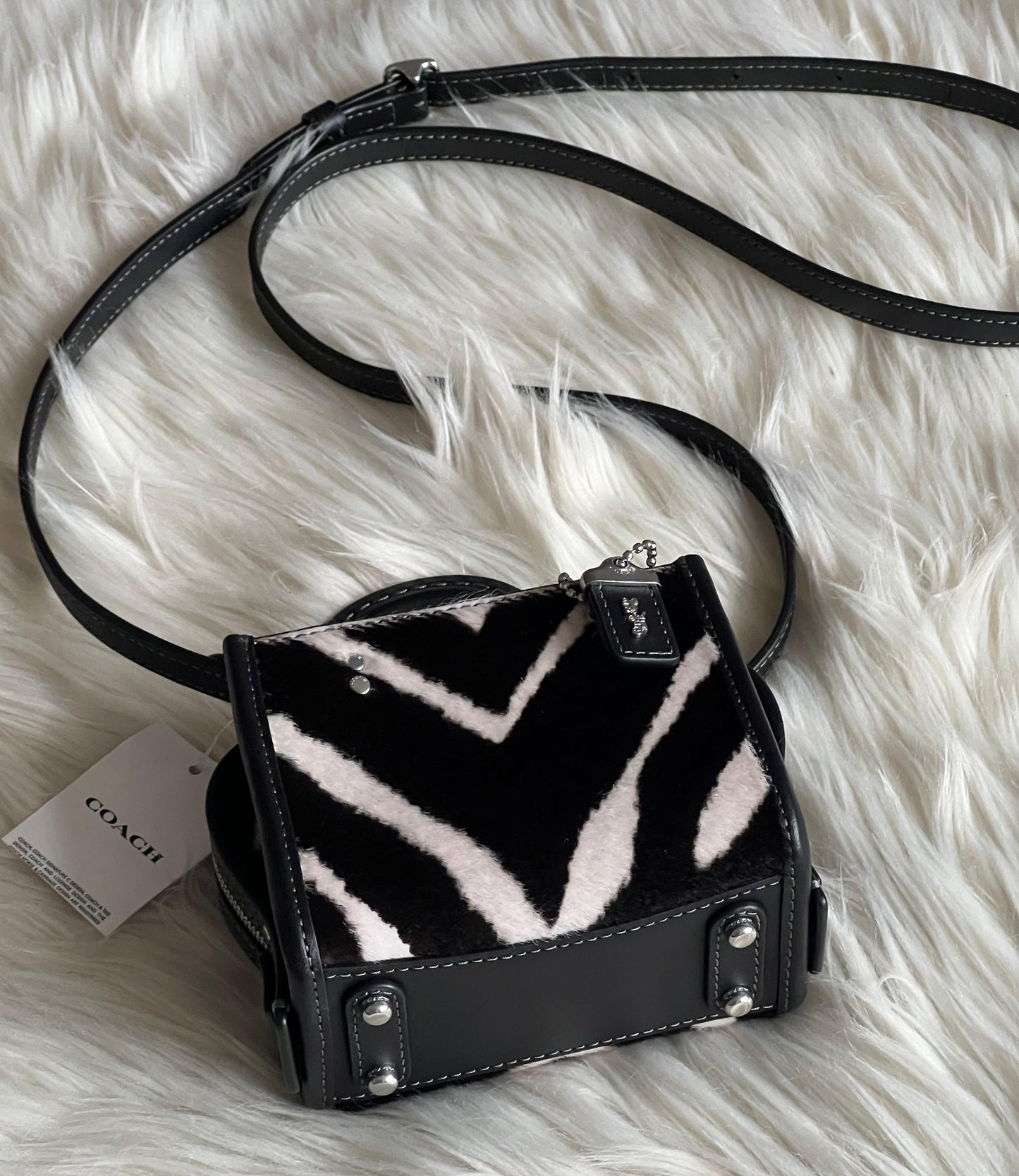 Coach Rogue 12 in Haircalf with Zebra Print
