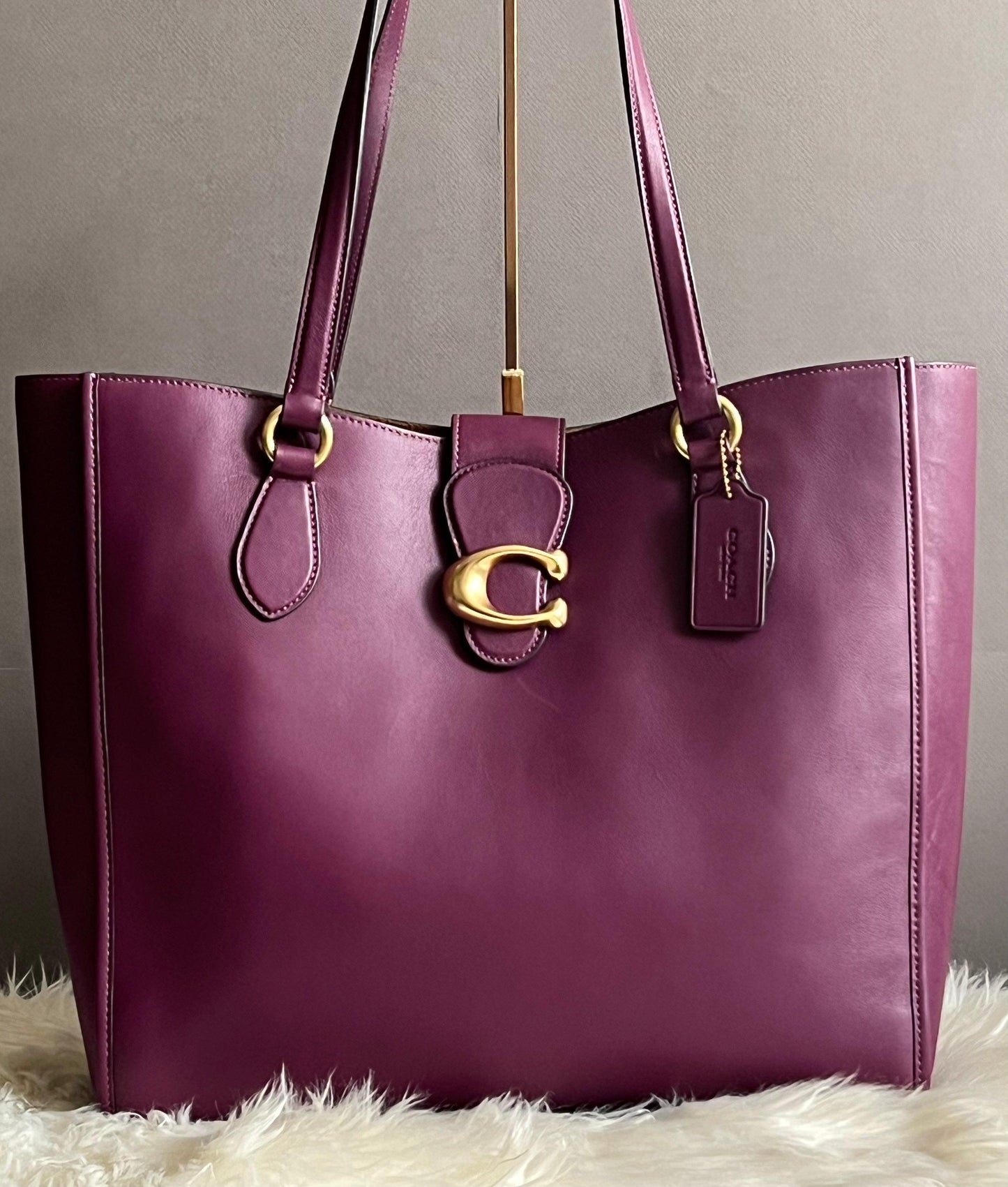 Coach Theo Tote