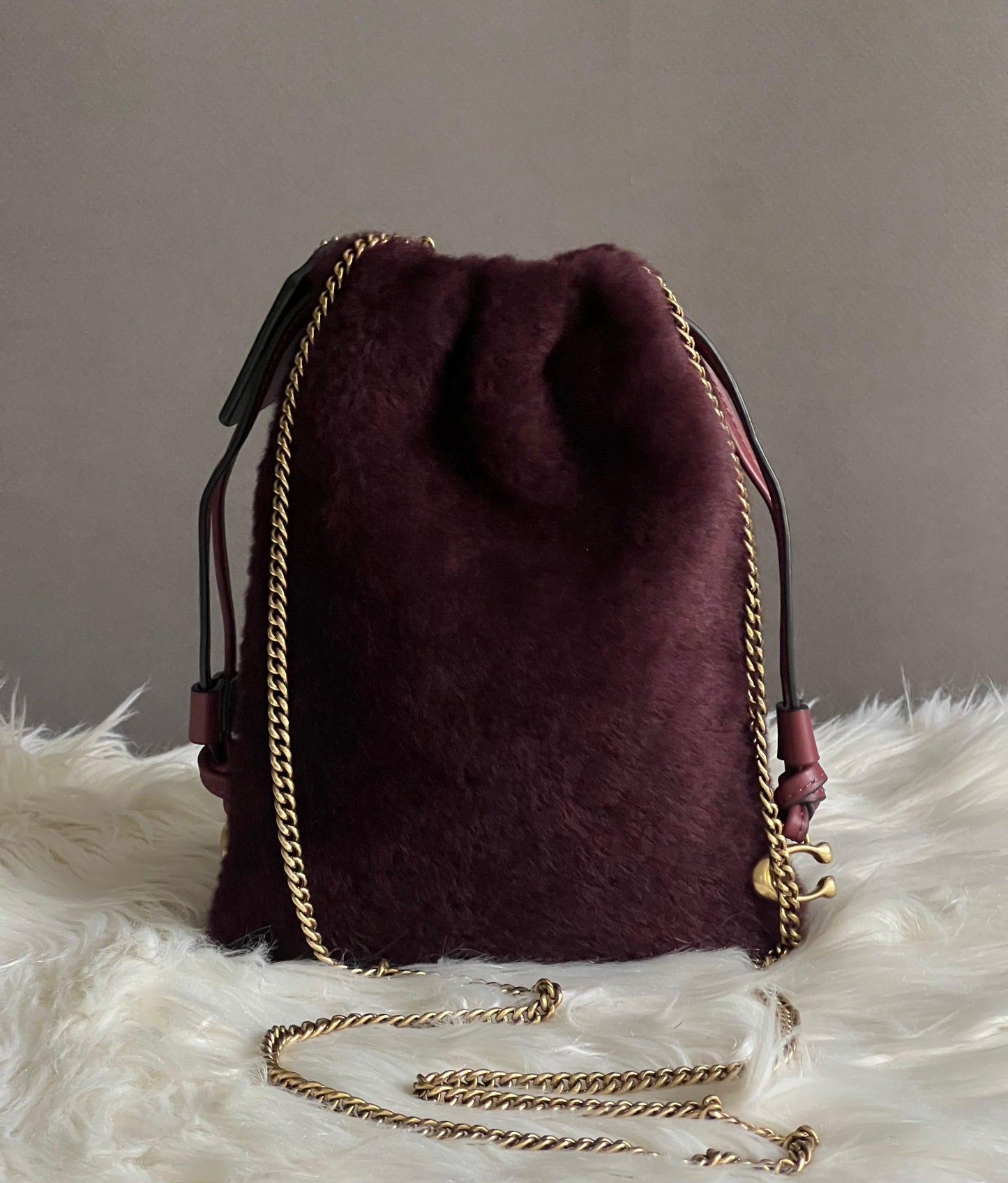 Coach Drawstring Pouch in Shearling