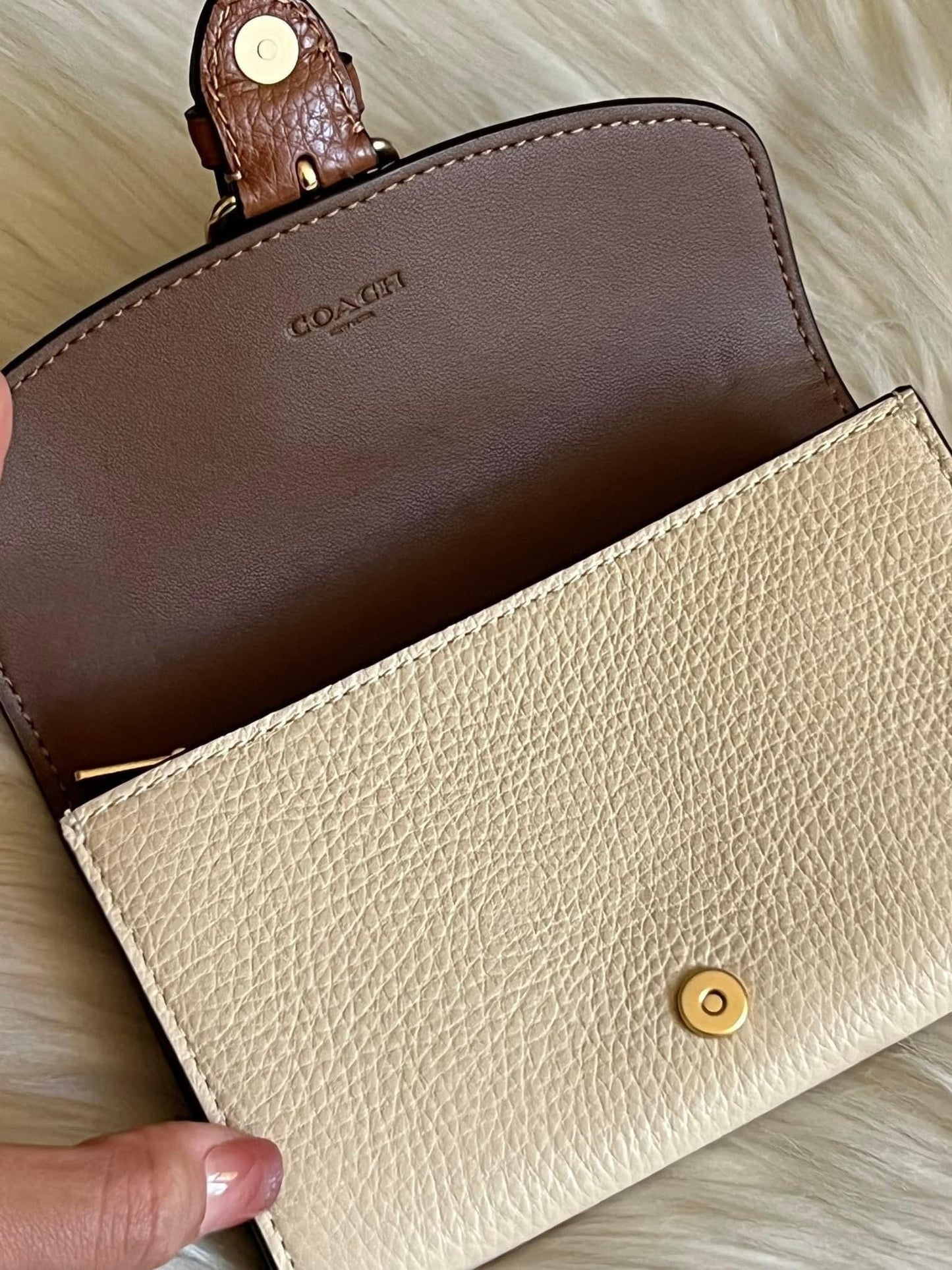Coach Kleo Wallet in Colorblock