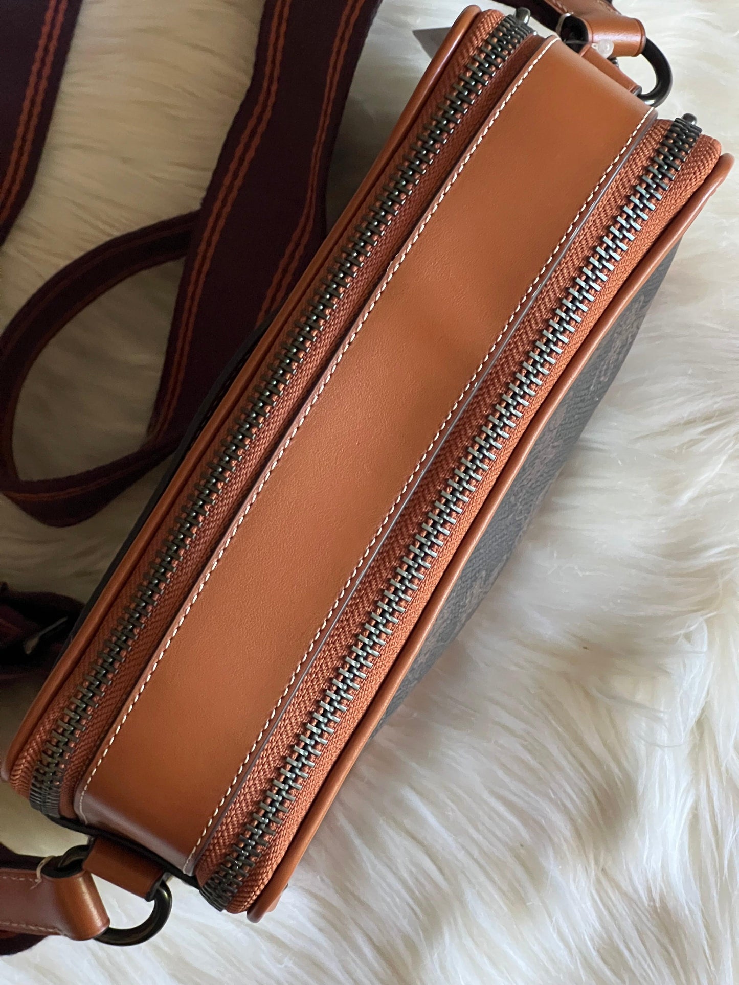 Coach Charter Crossbody 24 with Large Horse and Carriage Print