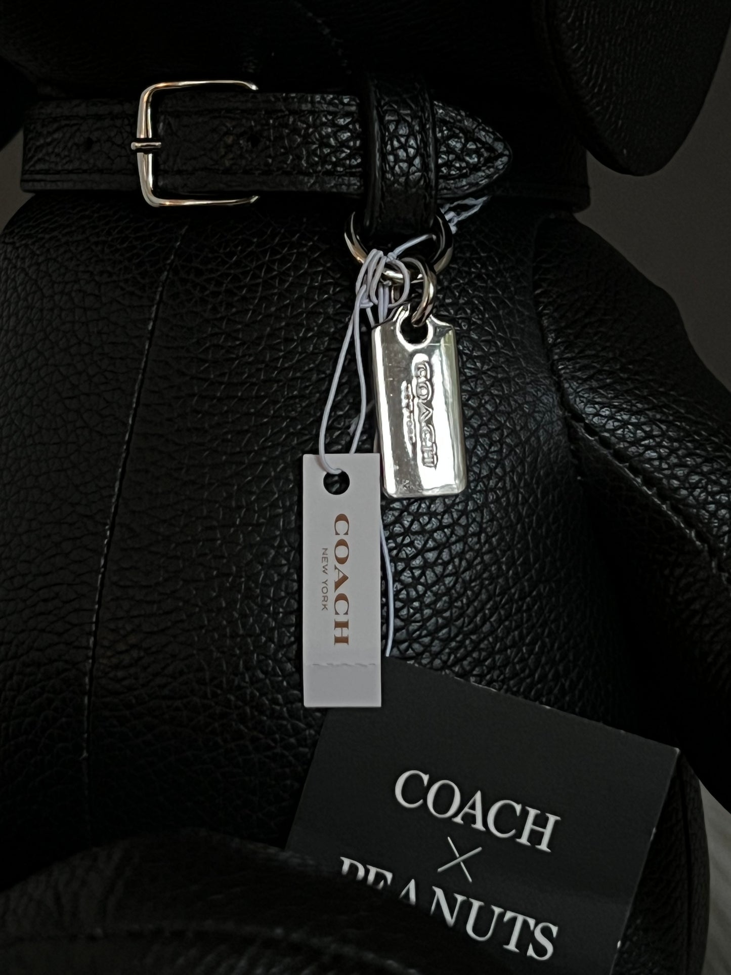 Coach X Peanuts Snoopy Leather Limited Edition