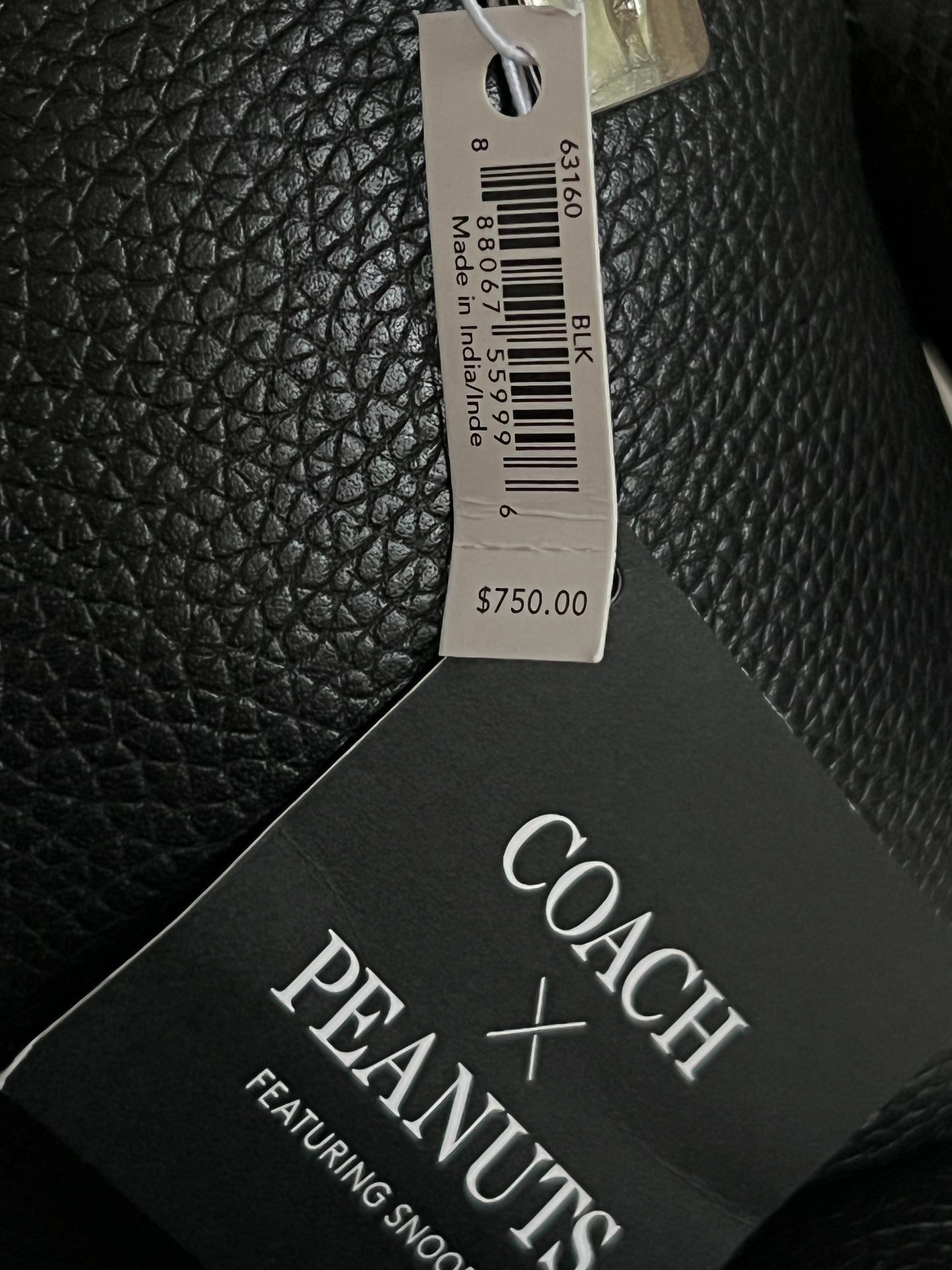 Coach X Peanuts Snoopy Leather Limited Edition