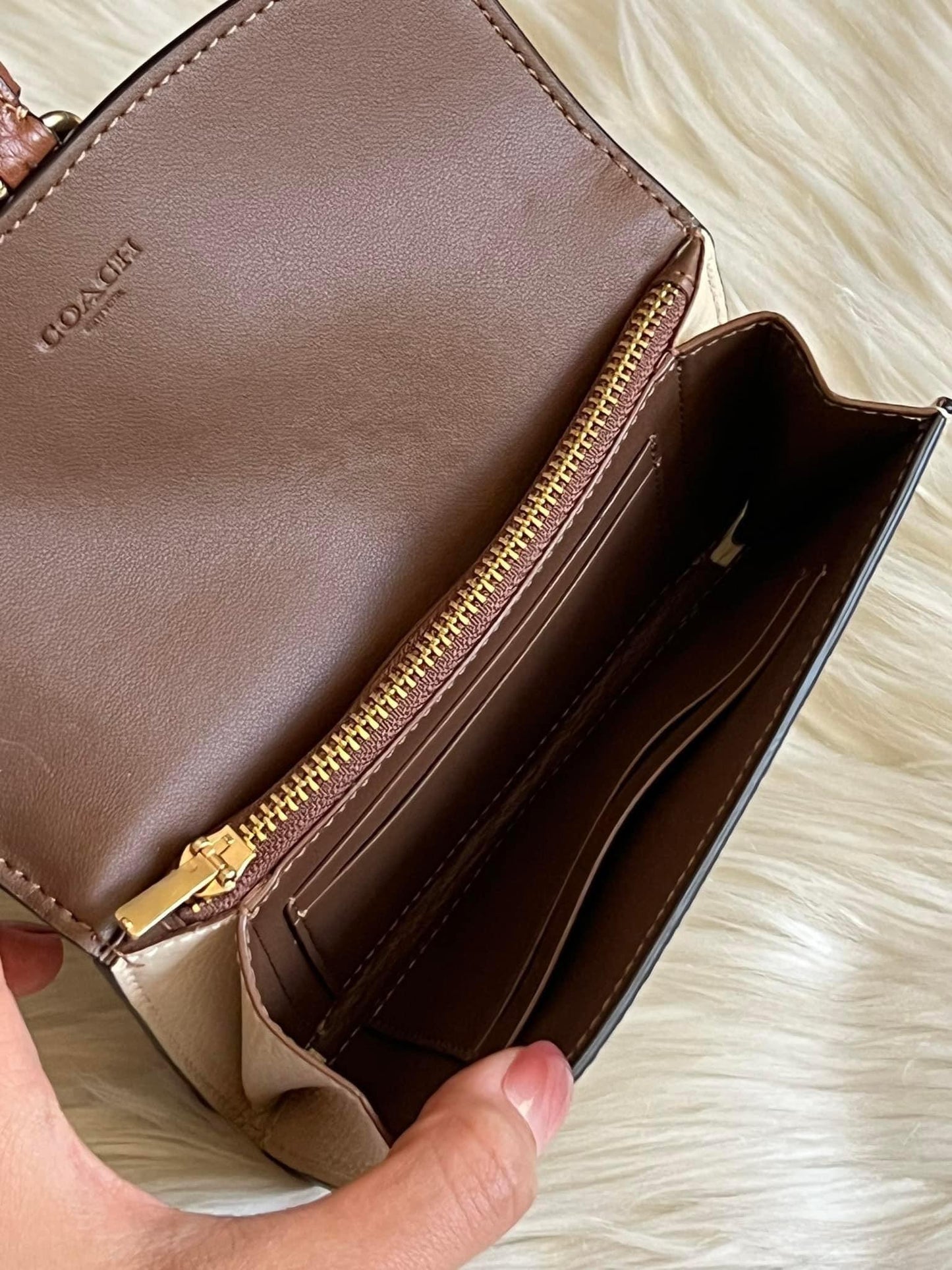 Coach Kleo Wallet in Colorblock