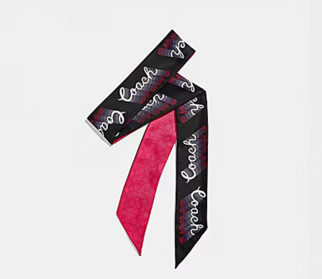 Coach Skinny Scarf/Bag Twilly