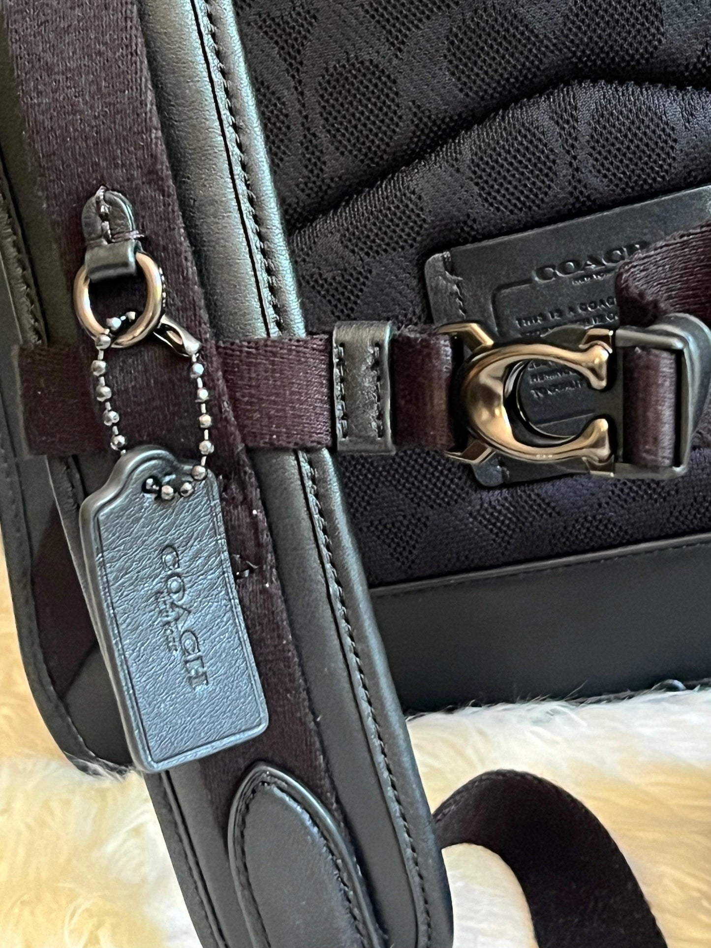 Coach Beck Roll Top Backpack in Signature Canvas