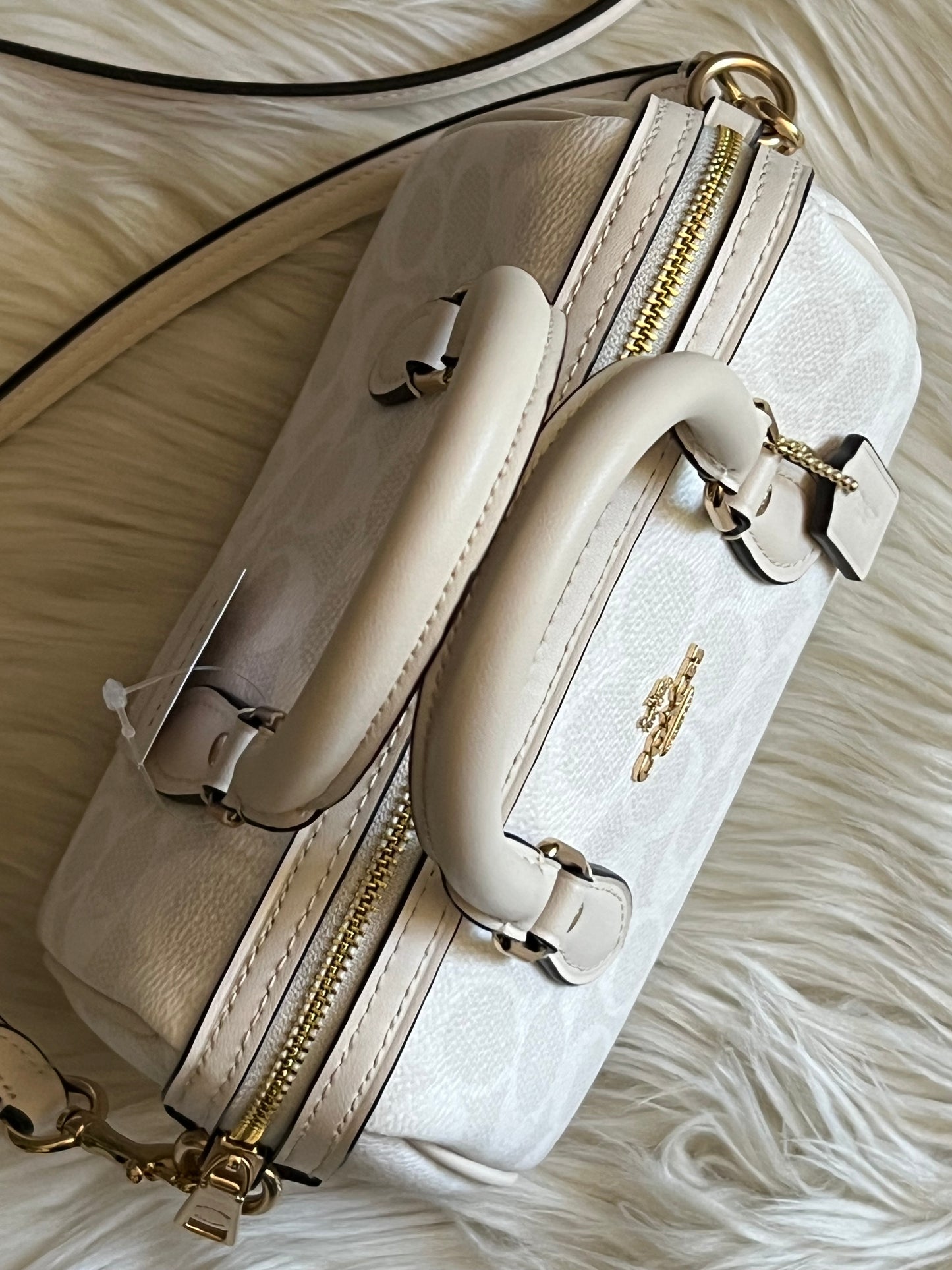 Coach Mini Rowan Crossbody Bag in Signature Canvas