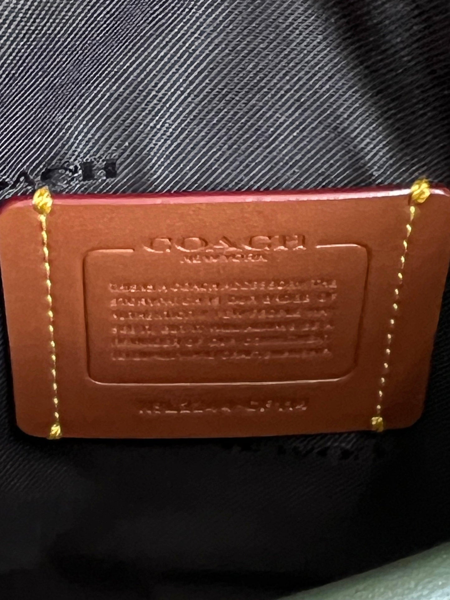 Coach Charter North/South Crossbody With Hybrid Pouch in Colorblock