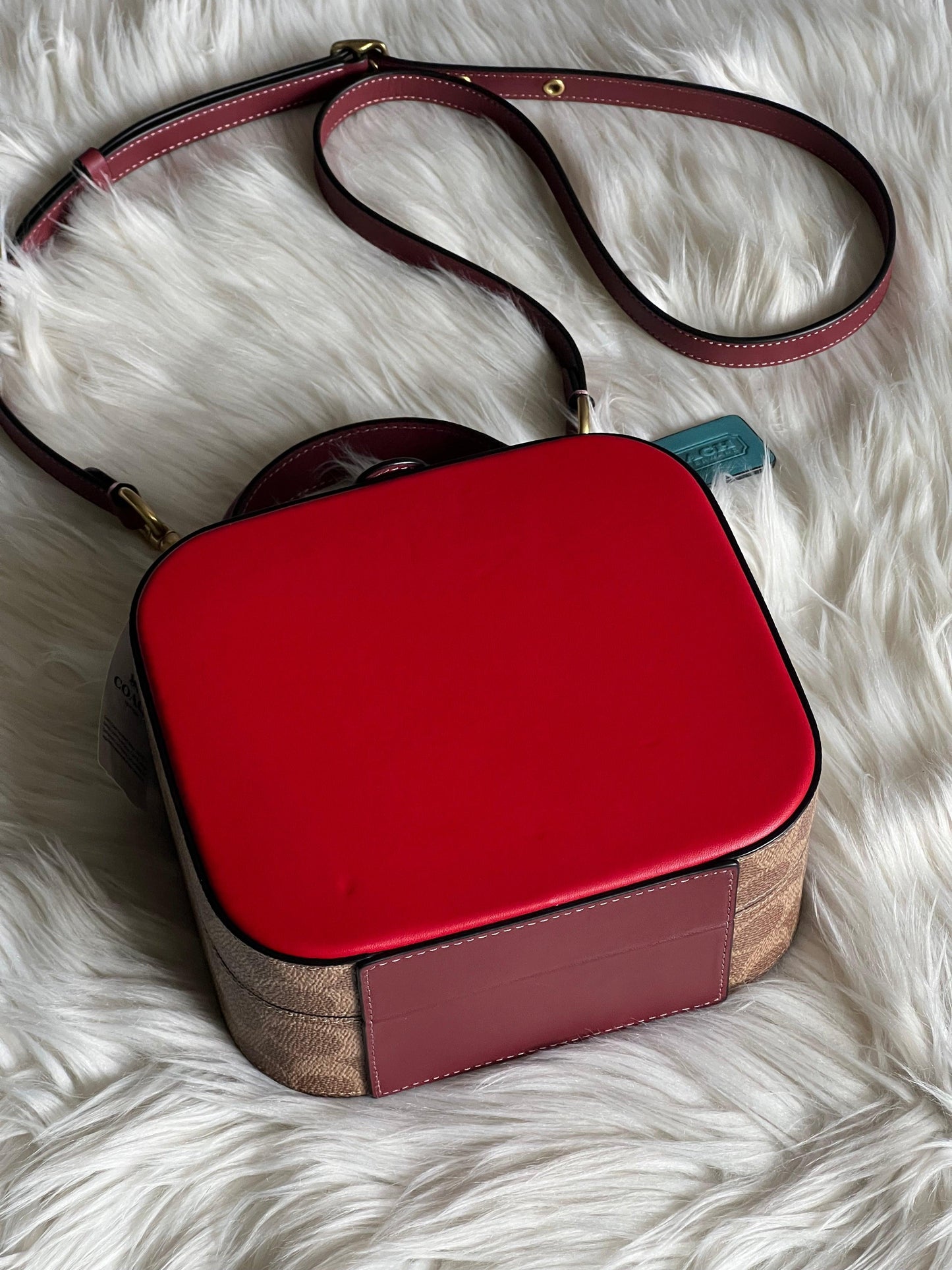 Coach Lunar New Year Square Bag in Signature Canvas