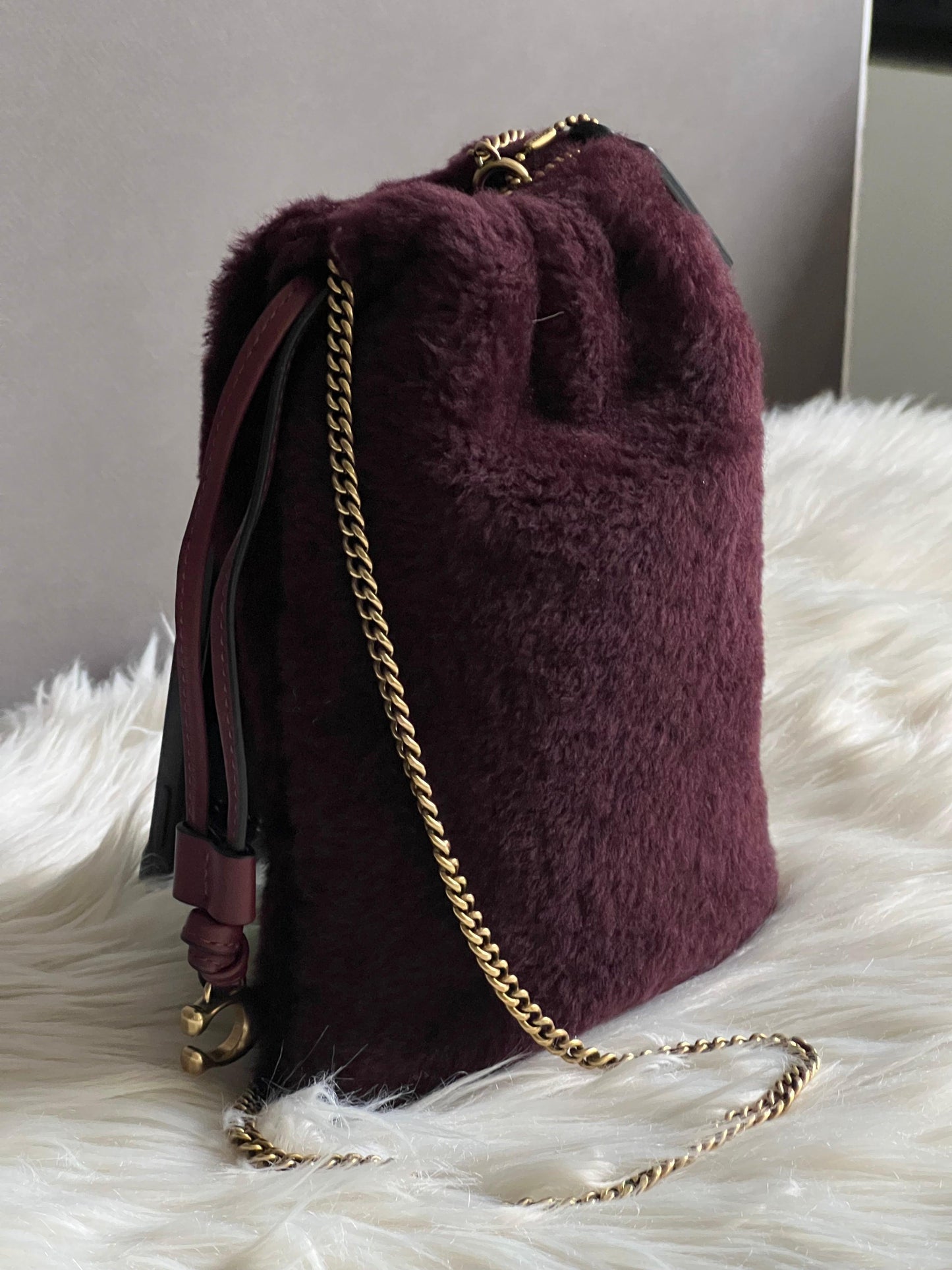Coach Drawstring Pouch in Shearling