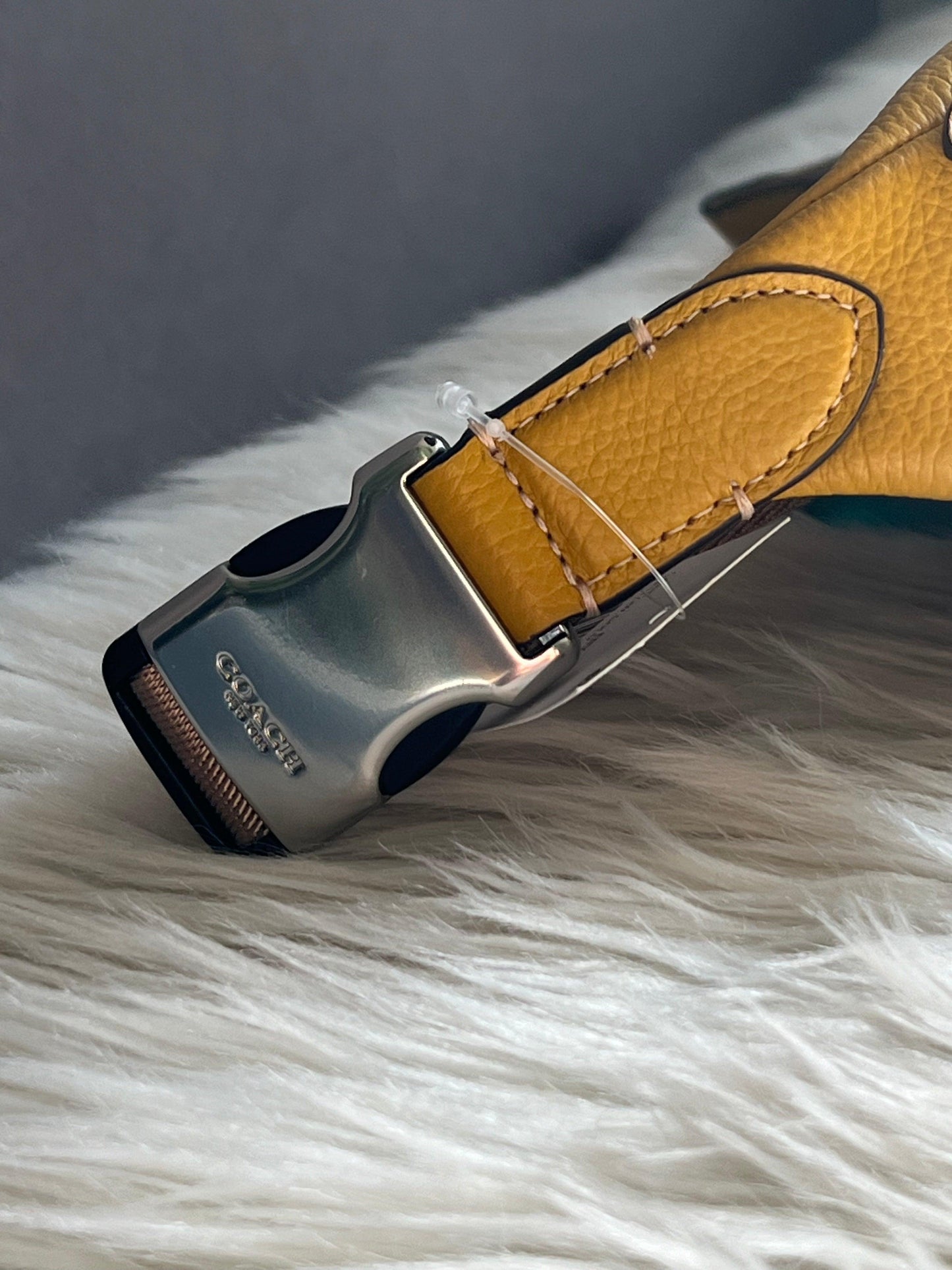 Coach Charter Belt Bag 7