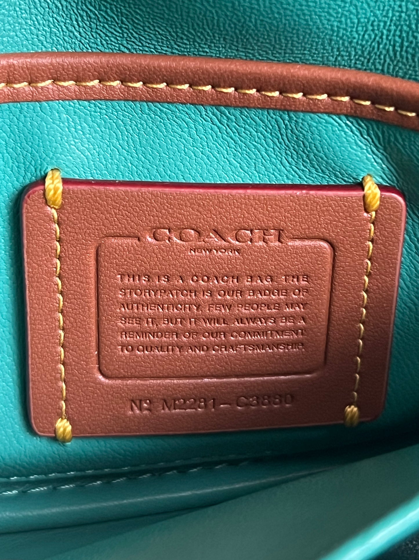Coach Pillow Tabby Shoulder Bag 18