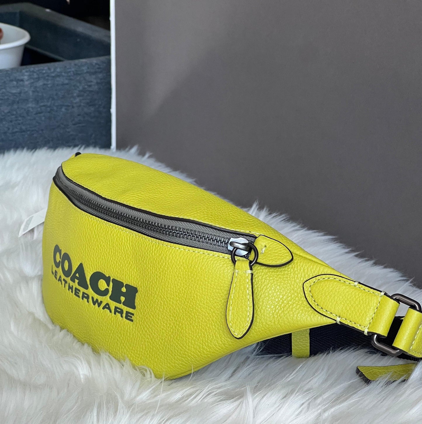 Coach Charter Belt Bag 7