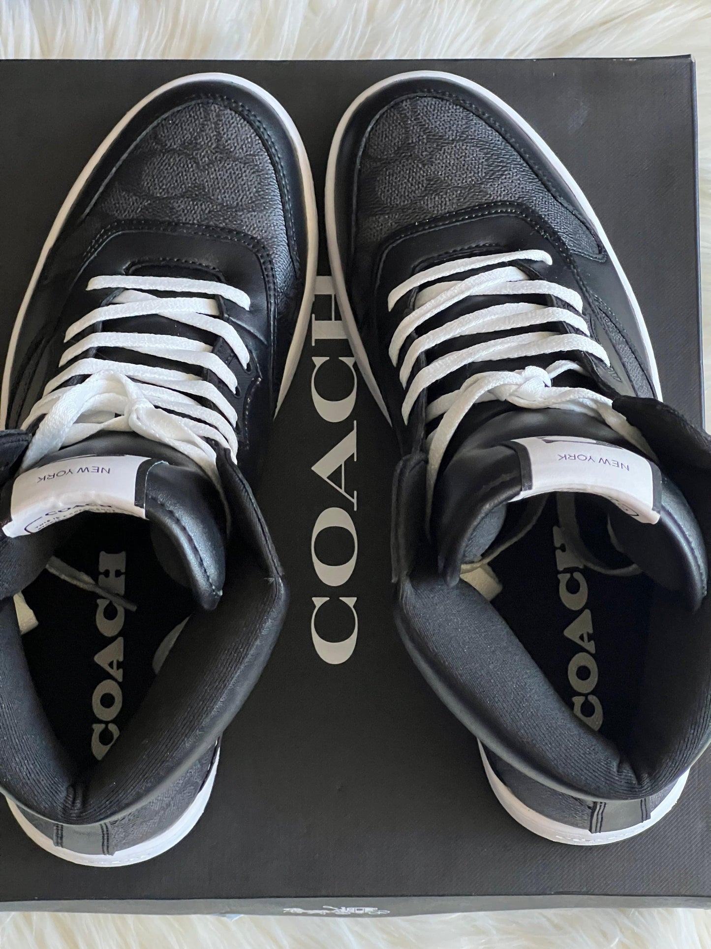 Coach High Top Sneaker in Signature Canvas