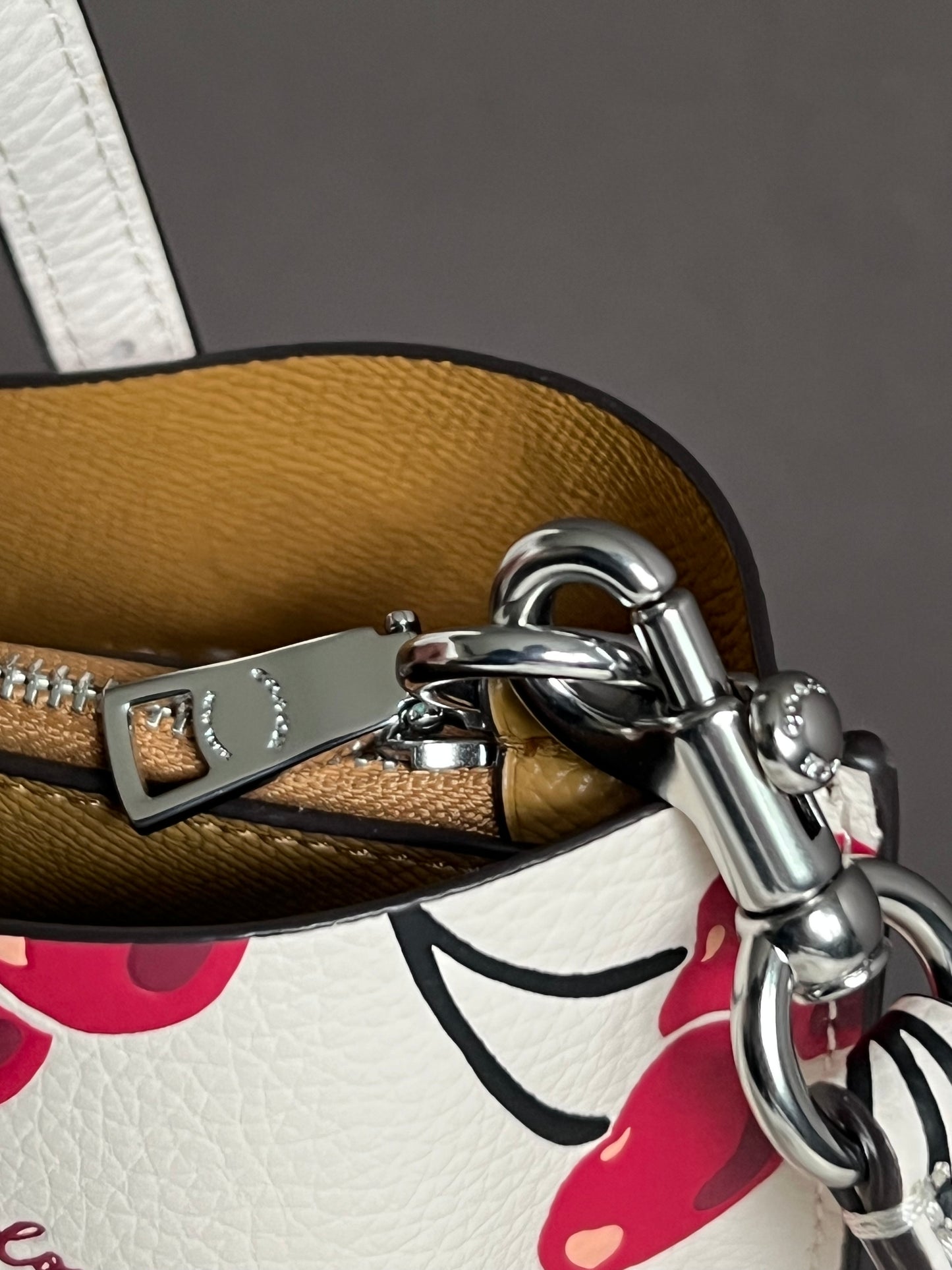 Coach Mollie Tote Bag 25 With Cherry Print