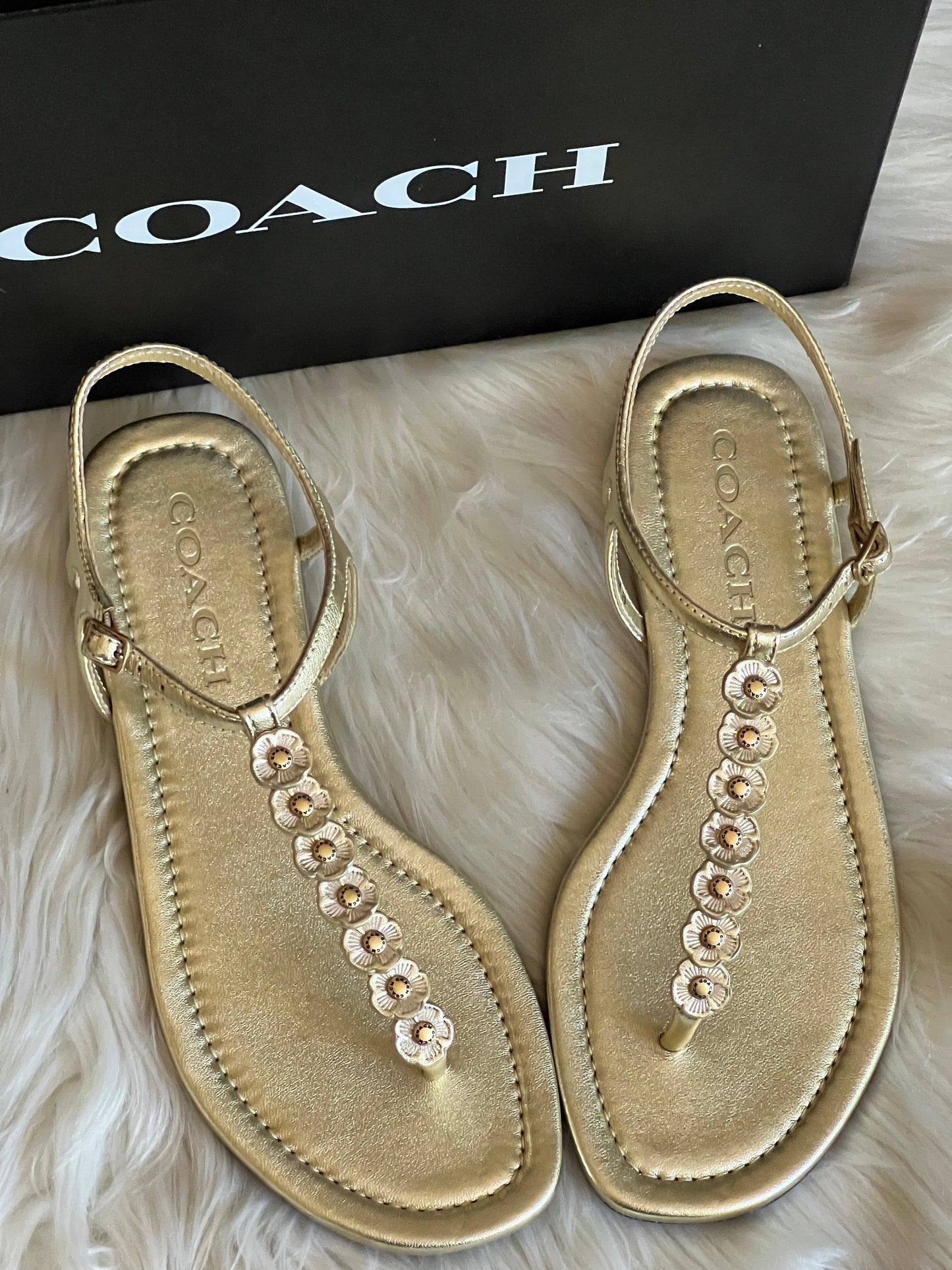 Coach Jacqueline Sandal