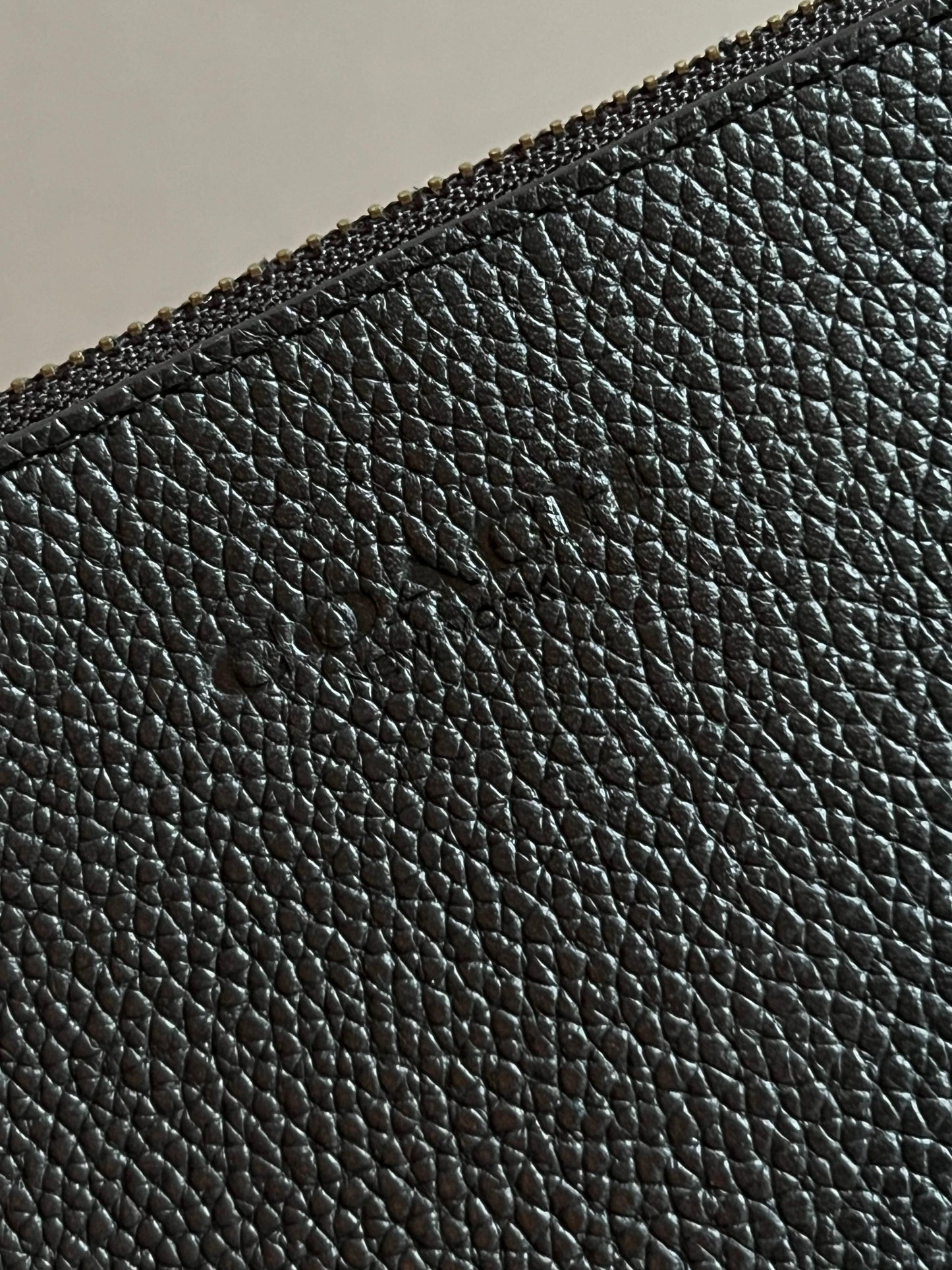 Coach Large Multifunctional Pouch