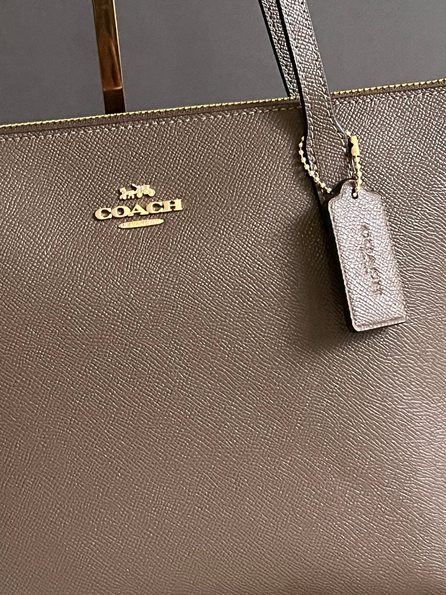 Coach Fiona Zip Tote Bag