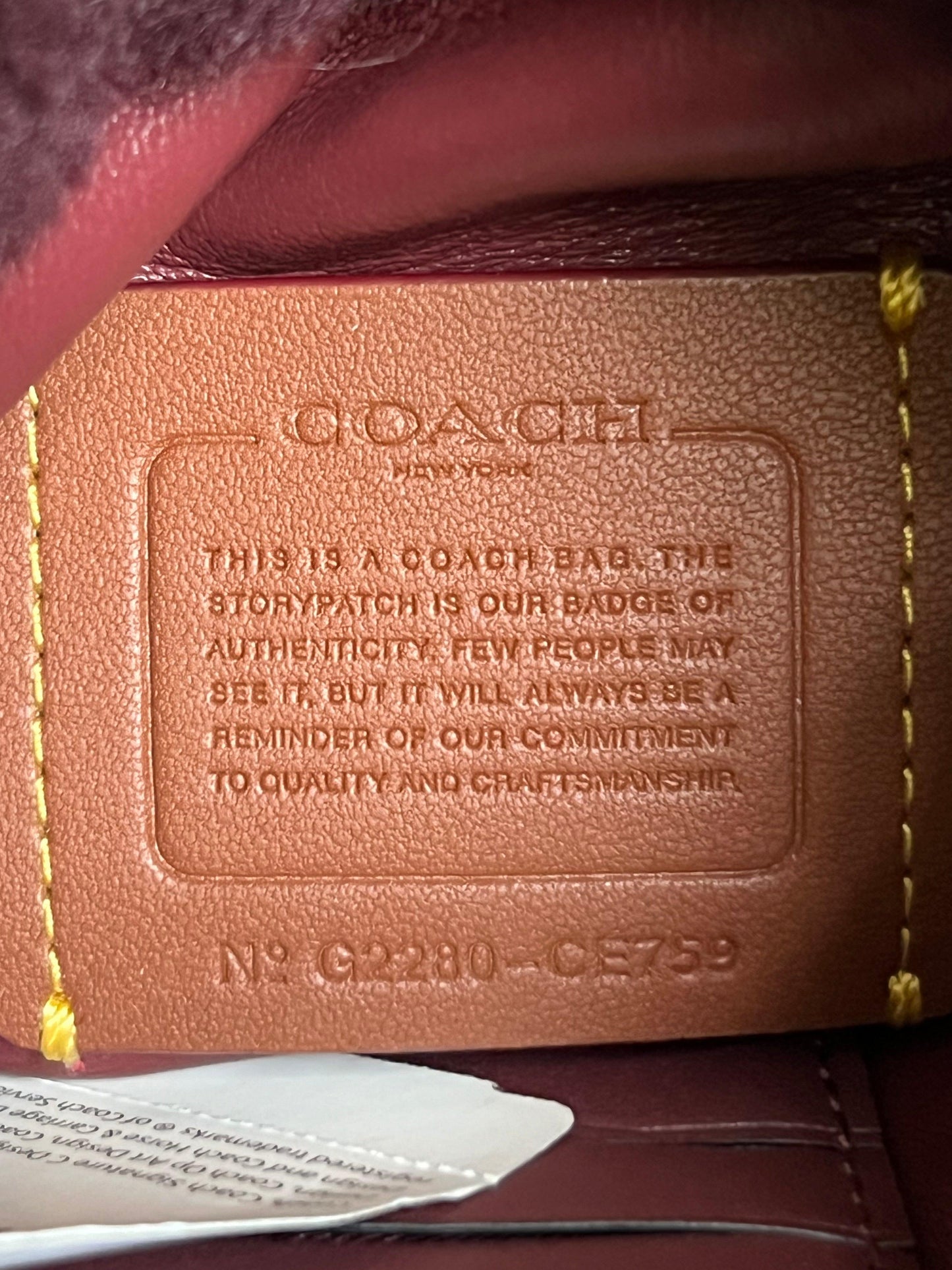 Coach Drawstring Pouch in Shearling