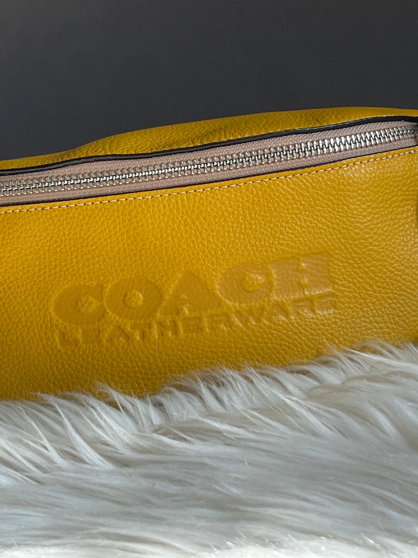 Coach Charter Belt Bag 7