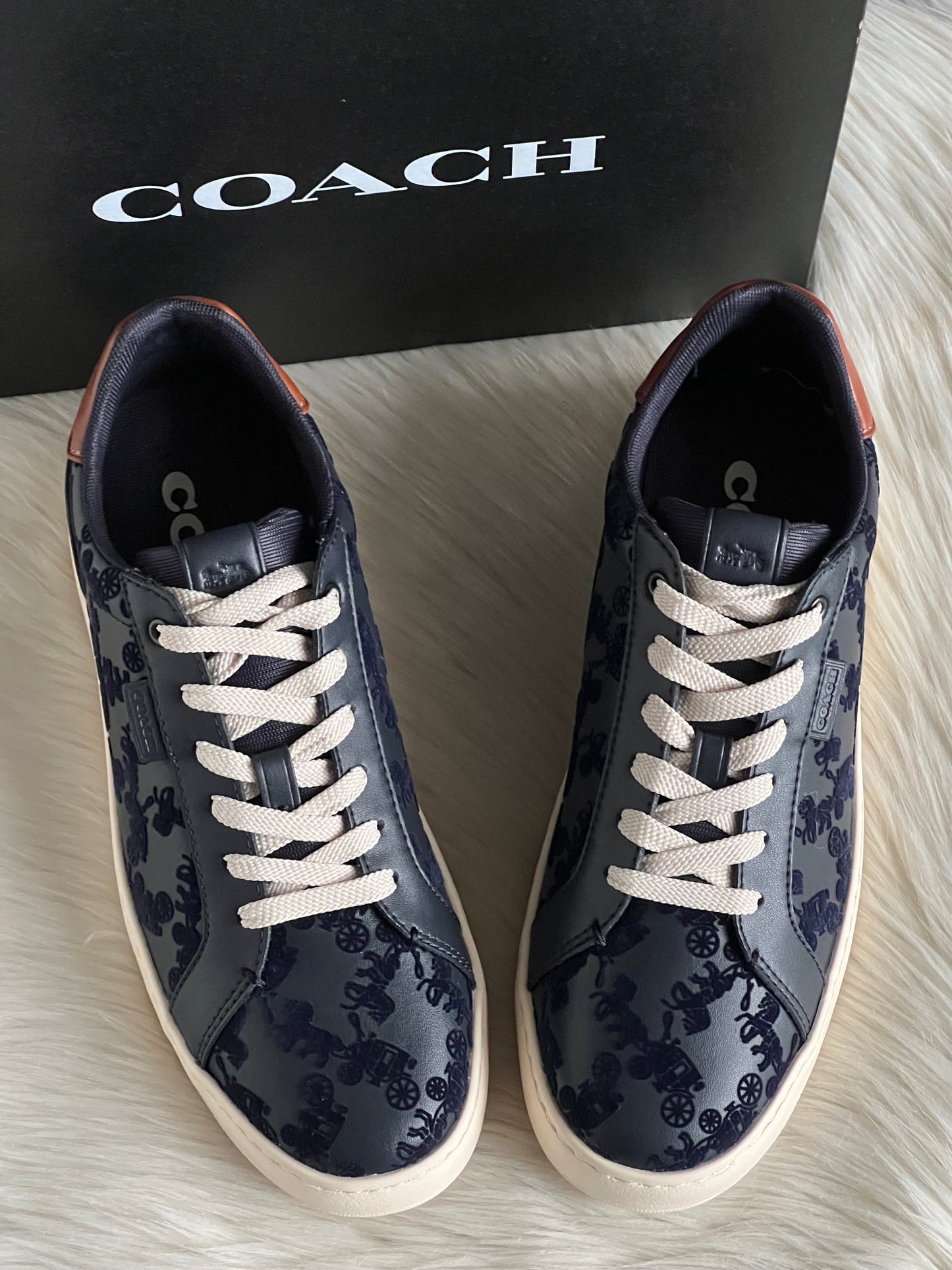 Coach Lowline Low Top Sneaker