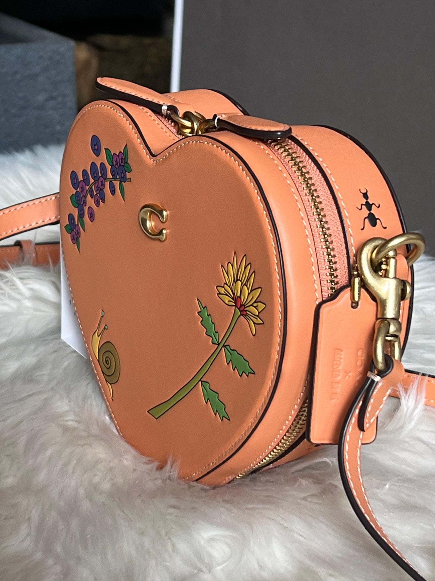 Coach X Observed By Us Heart Crossbody