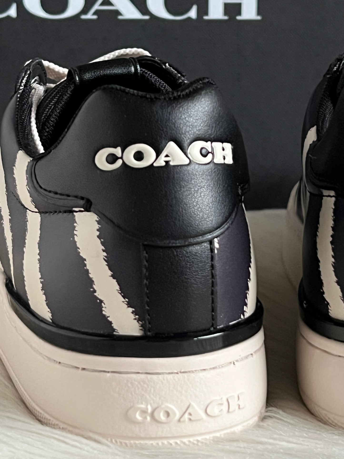 Coach Lowline Low Top Sneaker with Print