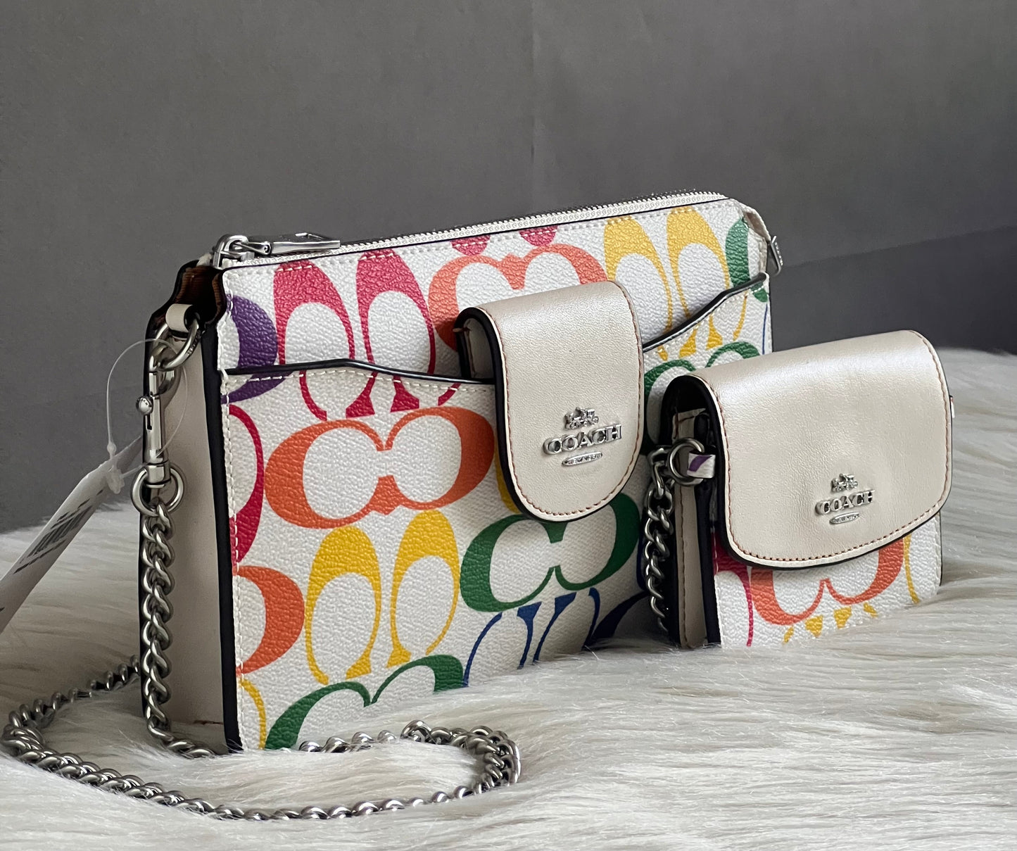 Coach Poppy Crossbody in Rainbow Signature Canvas