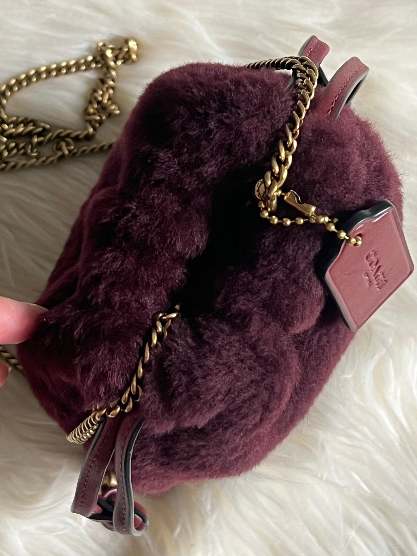 Coach Drawstring Pouch in Shearling