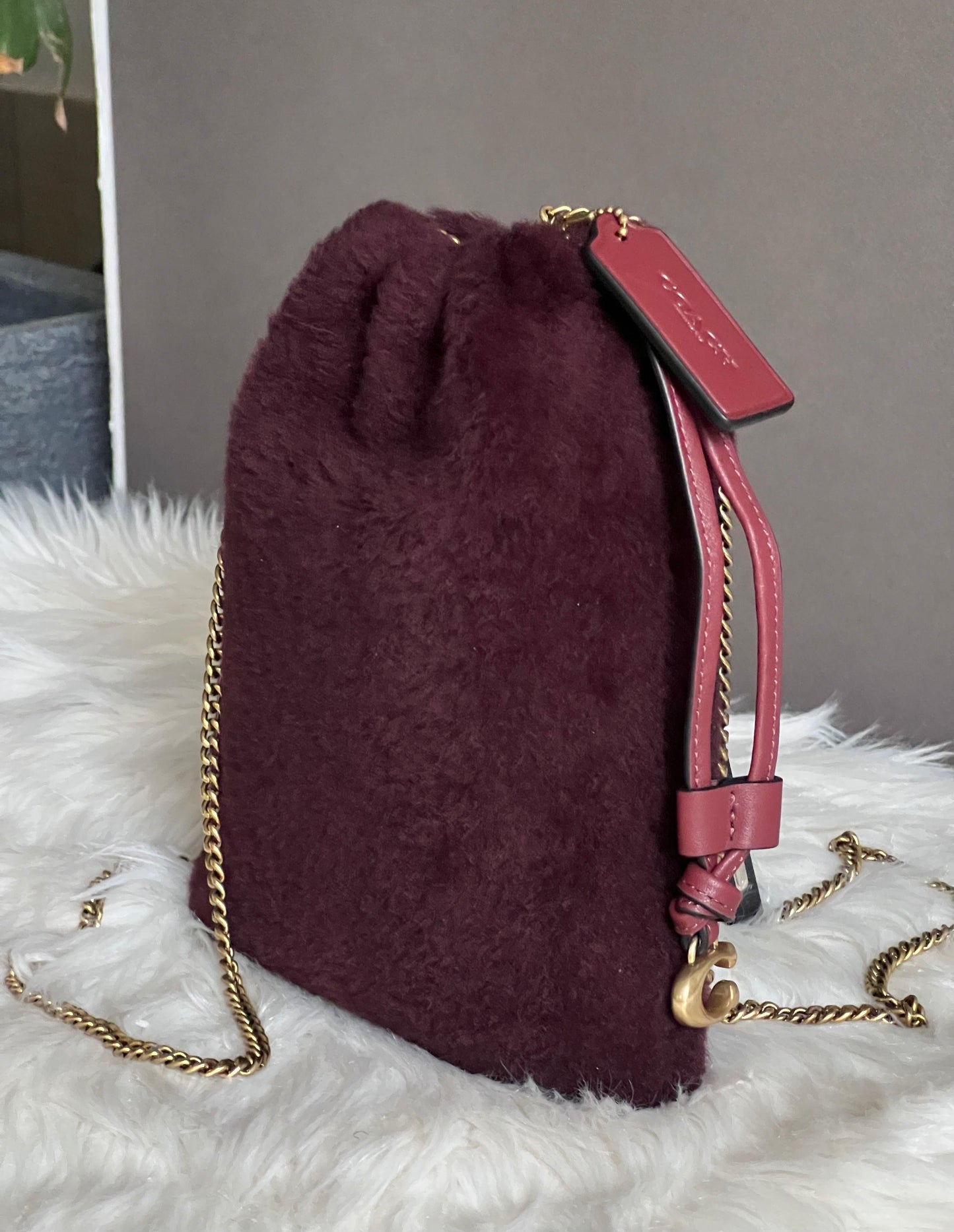Coach Drawstring Pouch in Shearling