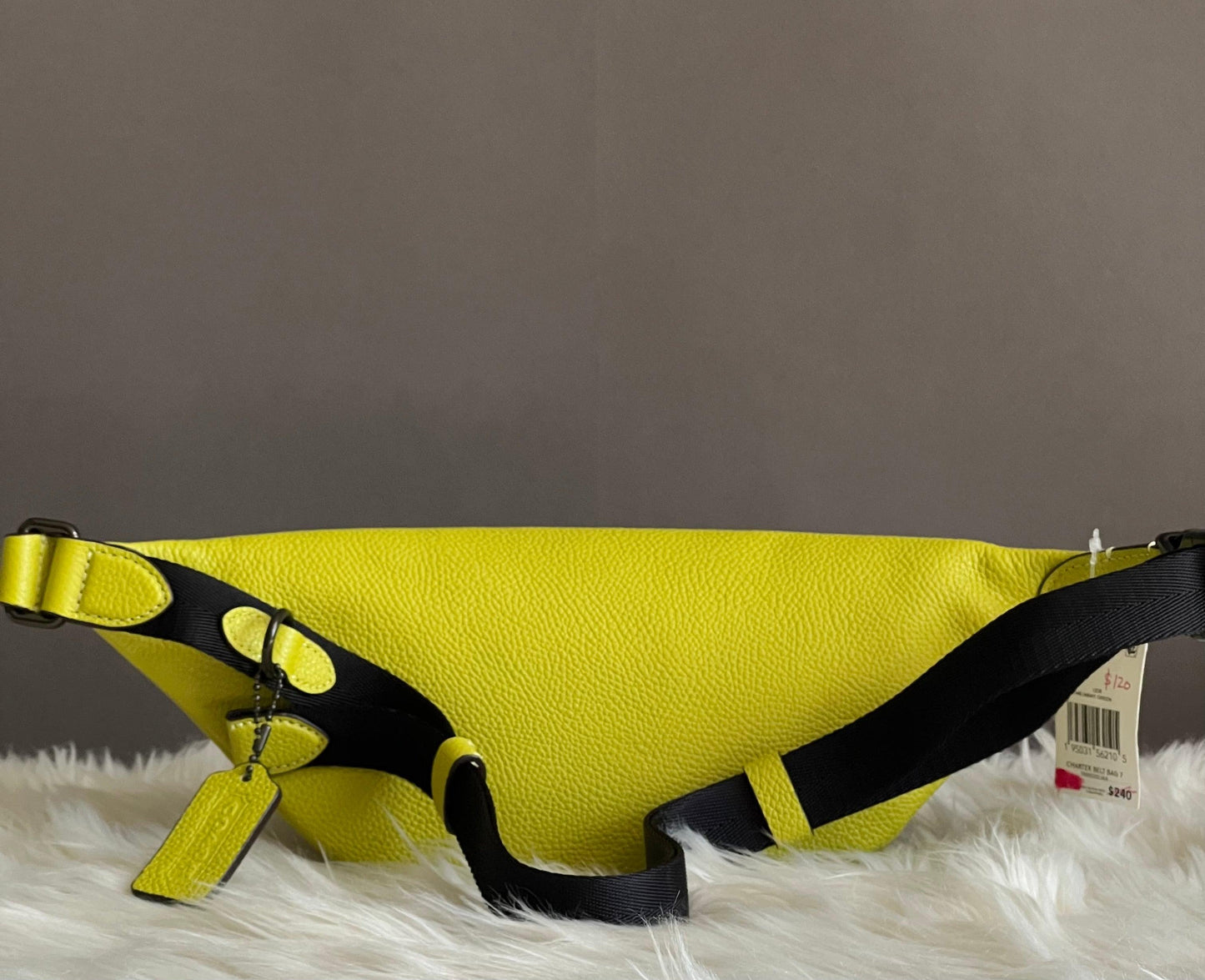 Coach Charter Belt Bag 7