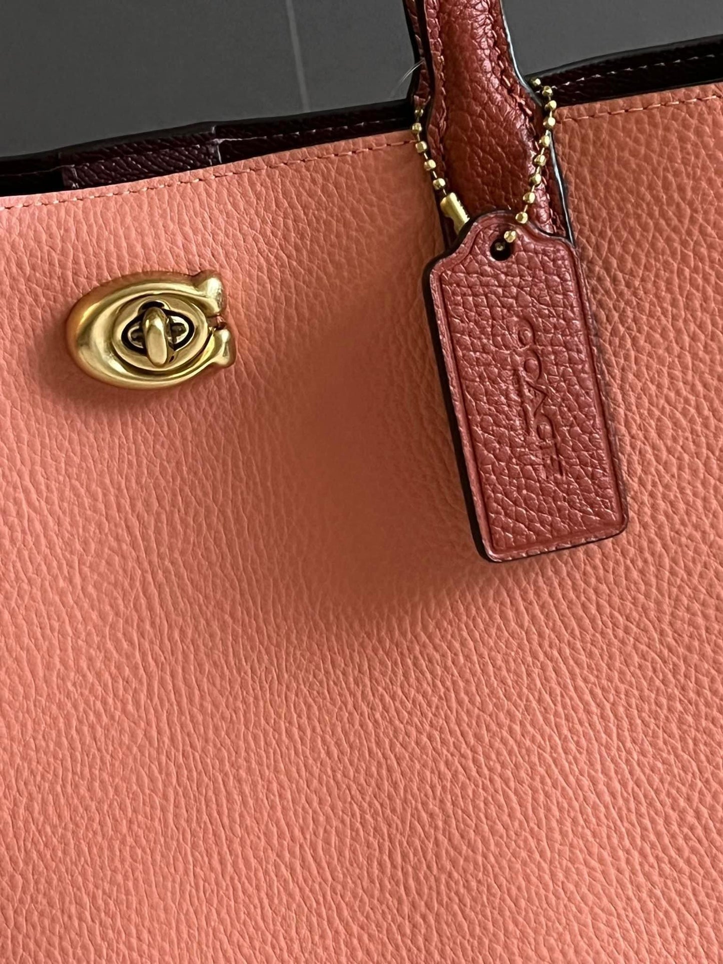 Coach Willow Tote 24 in Colorblock