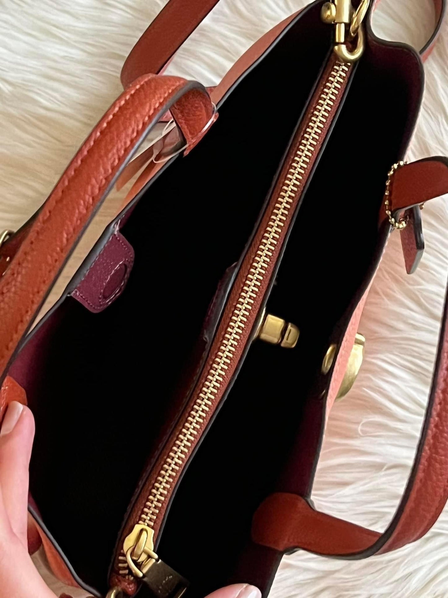 Coach Willow Tote 24 in Colorblock