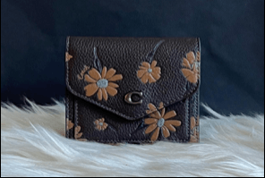 Coach Wyn Small Wallet with Floral Print